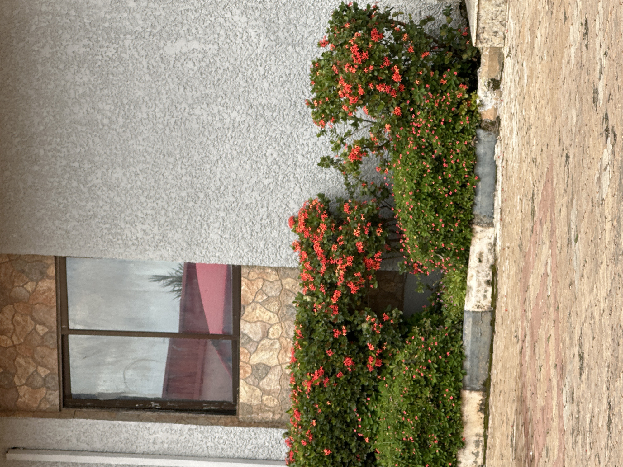 Kaduna afternoon: compound life and food prep in Nigeria