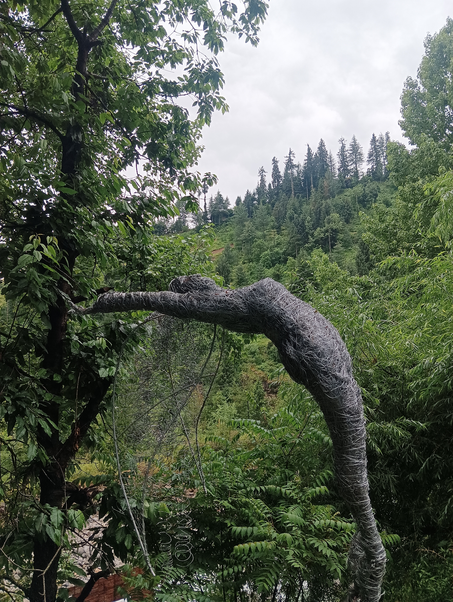 Art installations and river scenes documented in Old Manali
