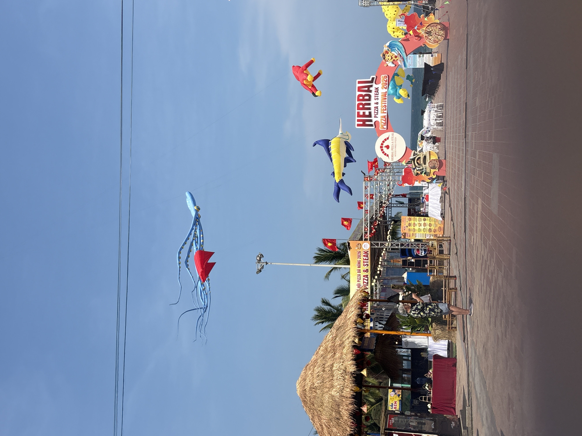 Kite festival draws crowds under clear skies in Đà Nẵng