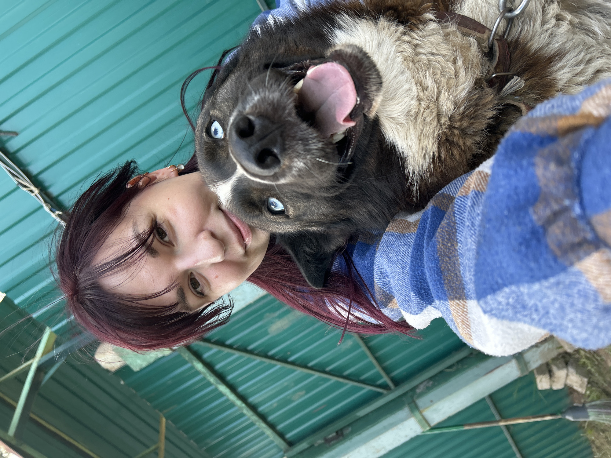 Woman and husky dog captured in selfies around Fokino