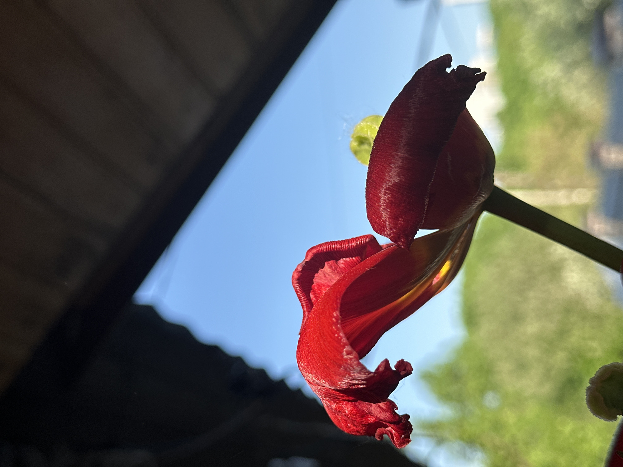 Spring day memories captured across Nizhny Novgorod neighborhoods
