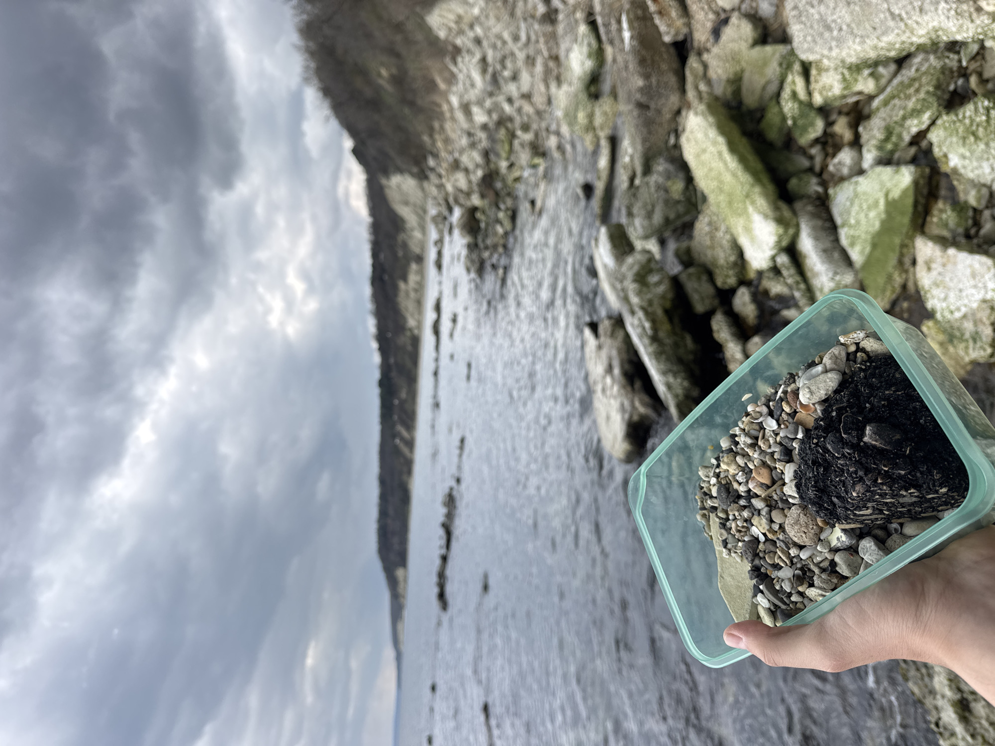 Person holds container of rocks and organic material