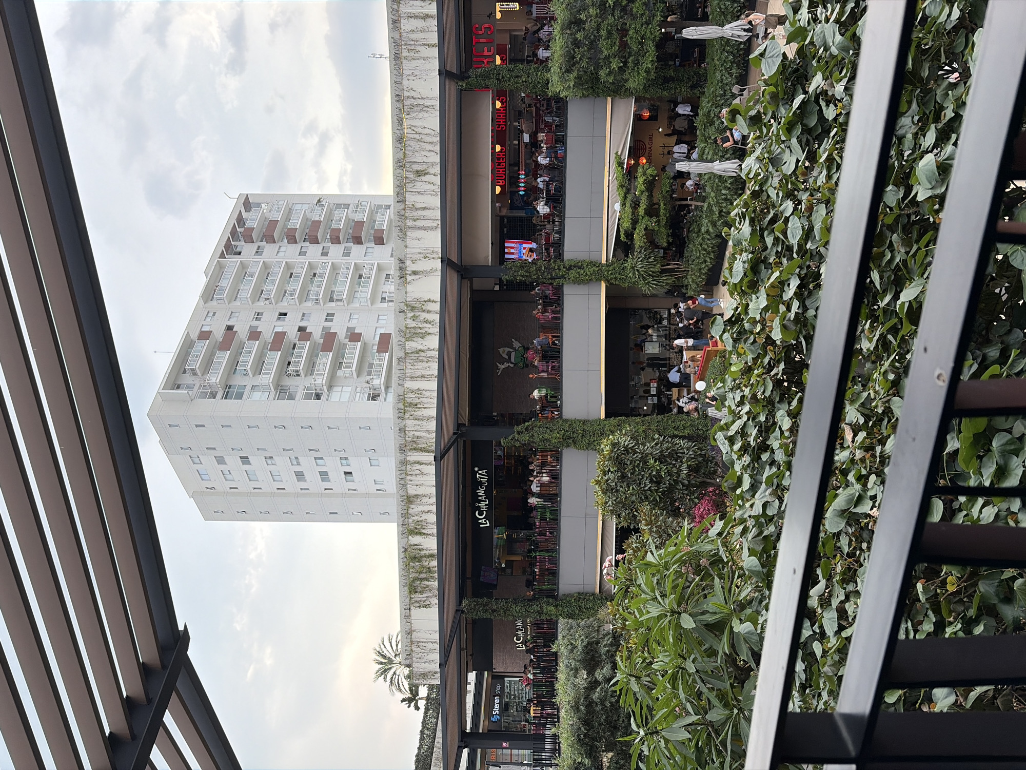 Evening scenes from Cuernavaca commercial district captured by witnesses