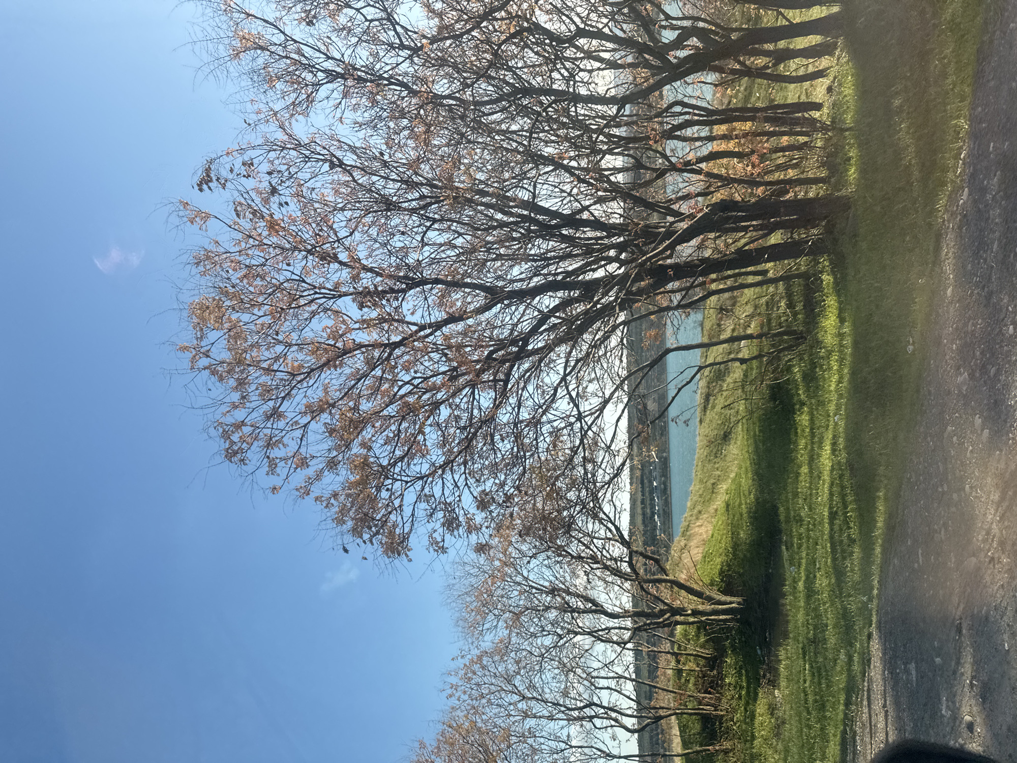Traveler documents spring landscape journey through Tbilisi, Georgia