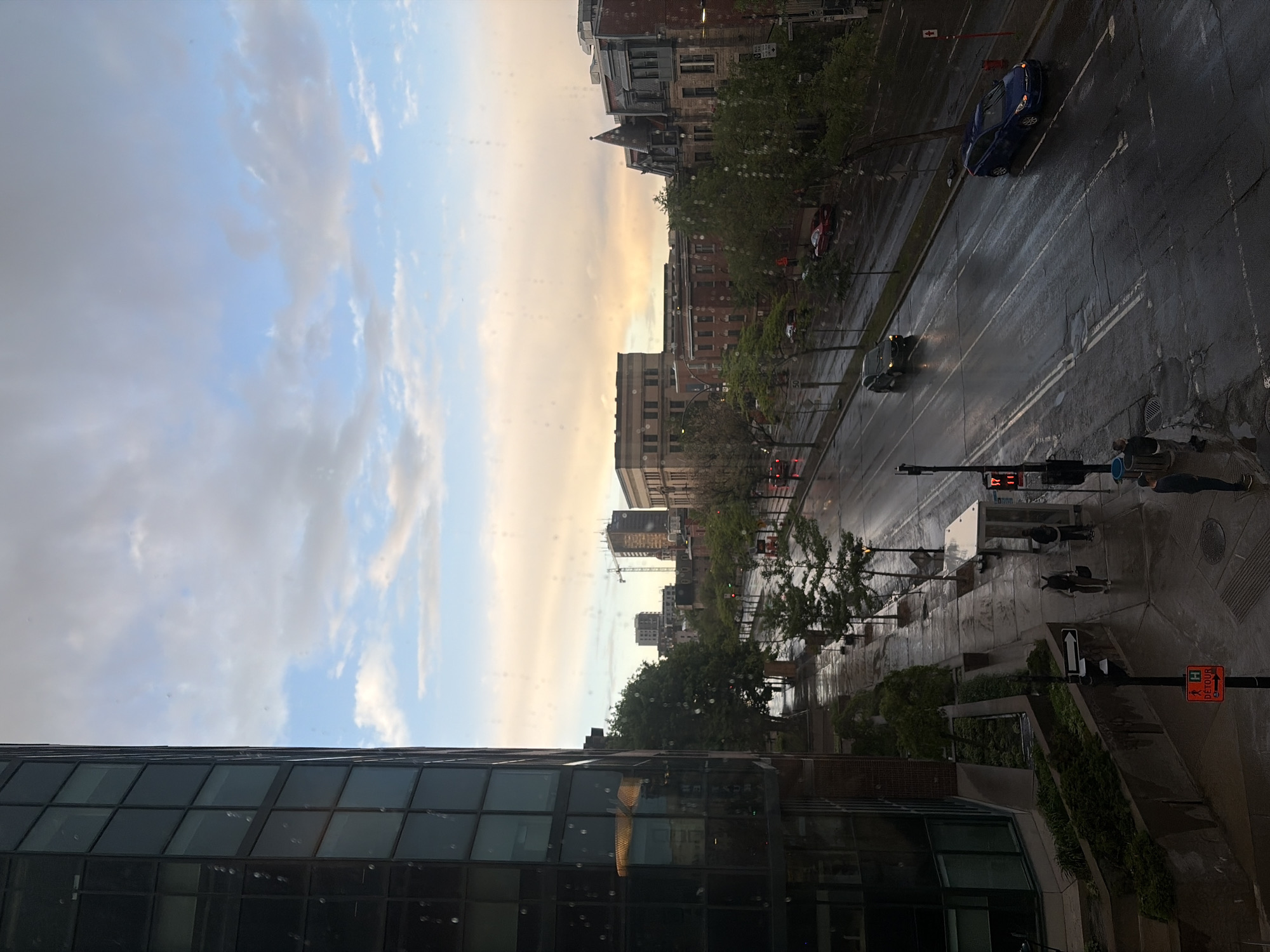 Early morning pet moments captured across Montreal streets