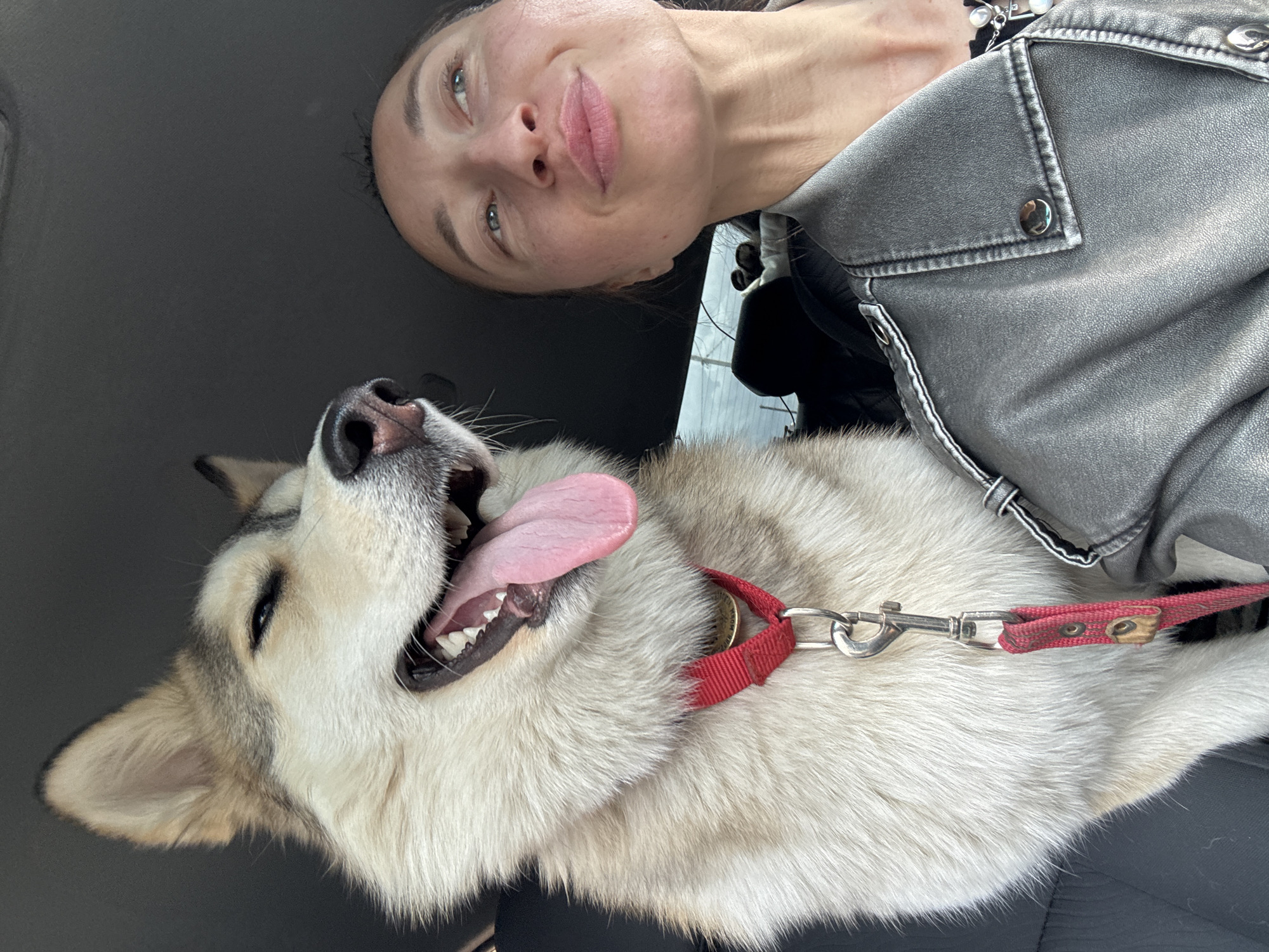 Woman takes car selfie with Siberian Husky in Russia