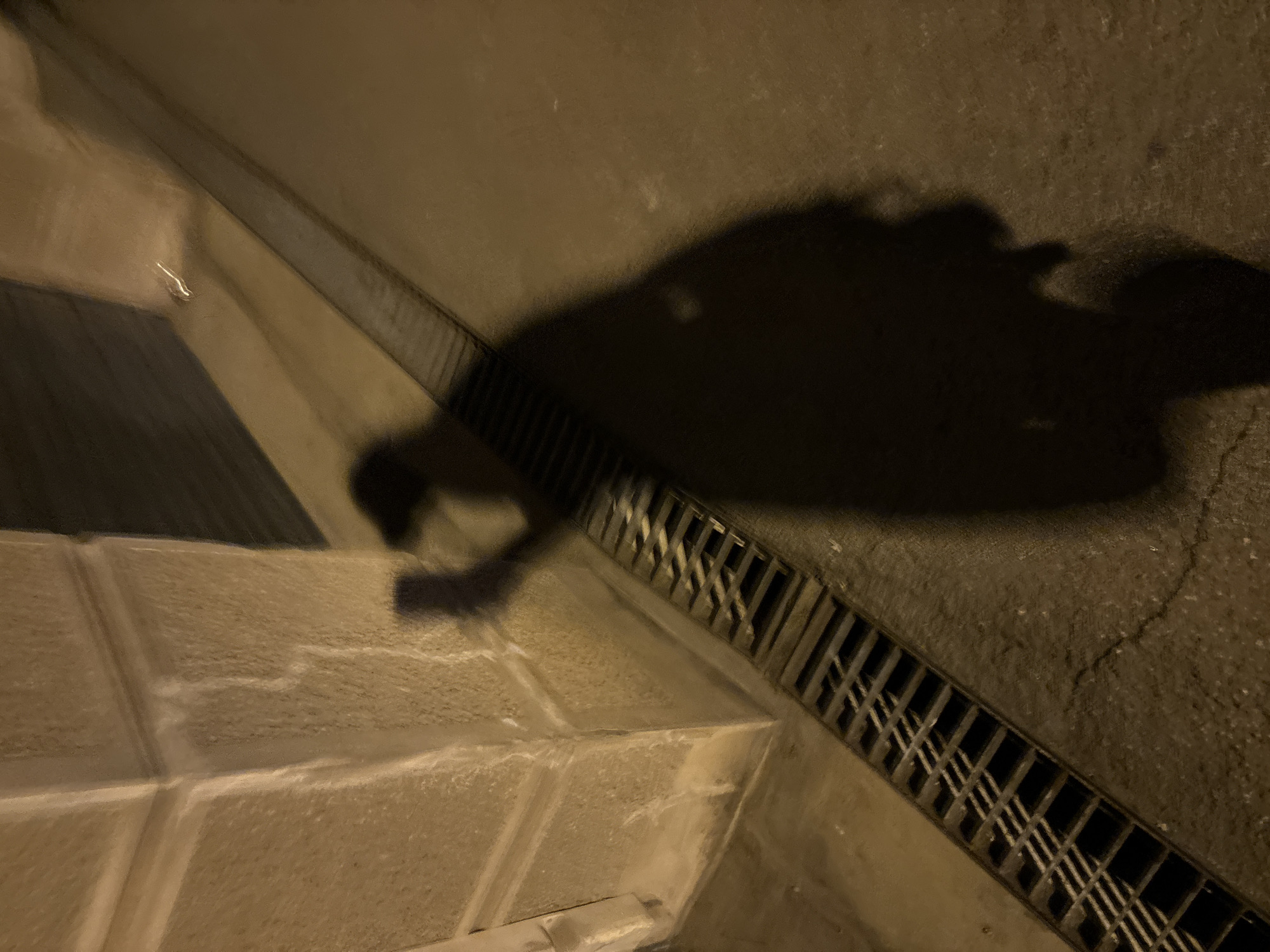 Belgrade after dark: wet streets, decay, and quiet corners