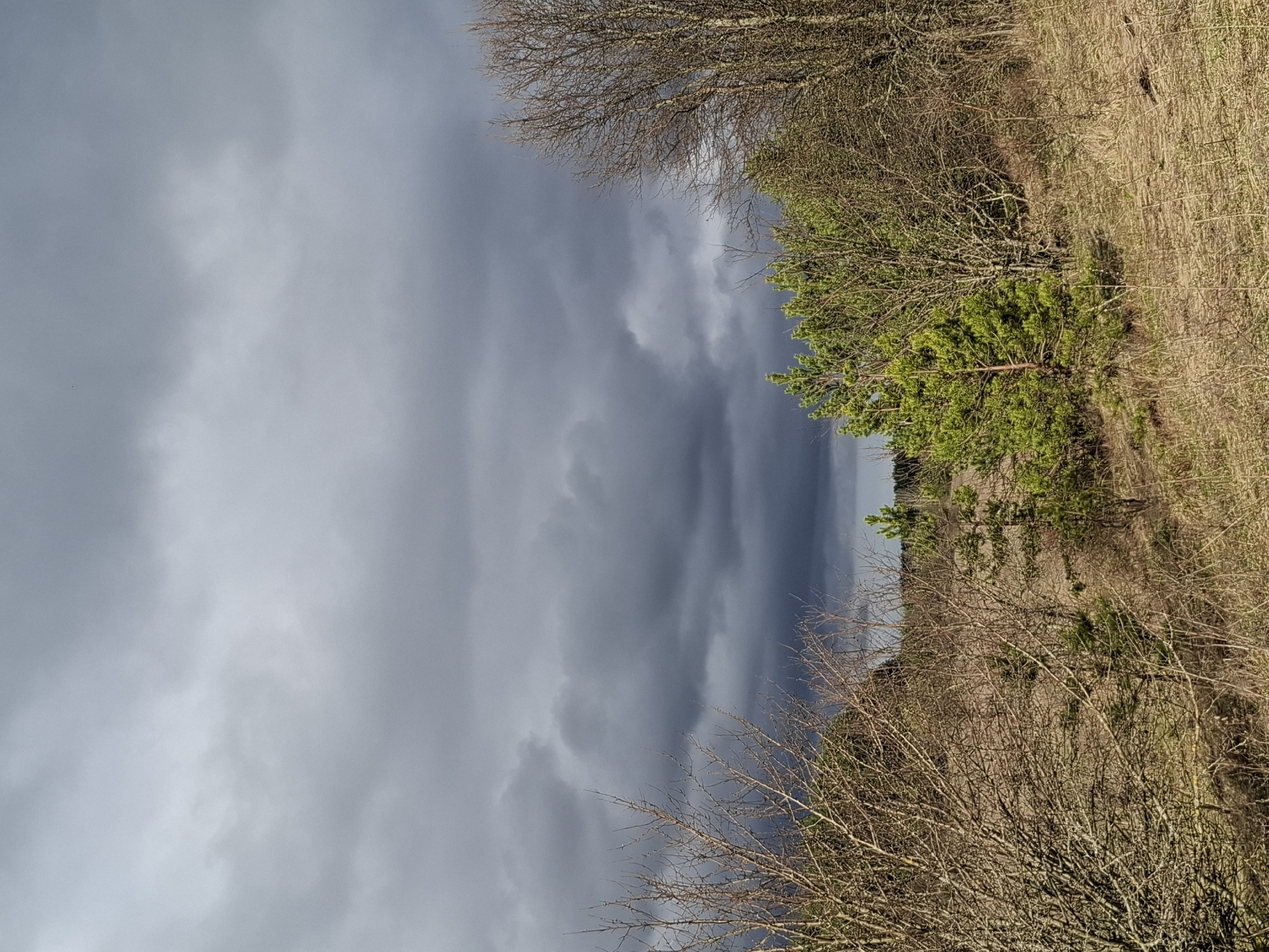 Rural landscape documented under overcast skies in Khlevnoye, Russia