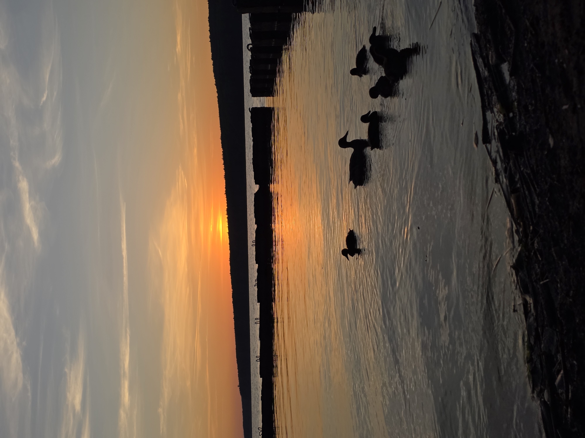 Quiet sunset on the Kama River with ducks and shoreline views
