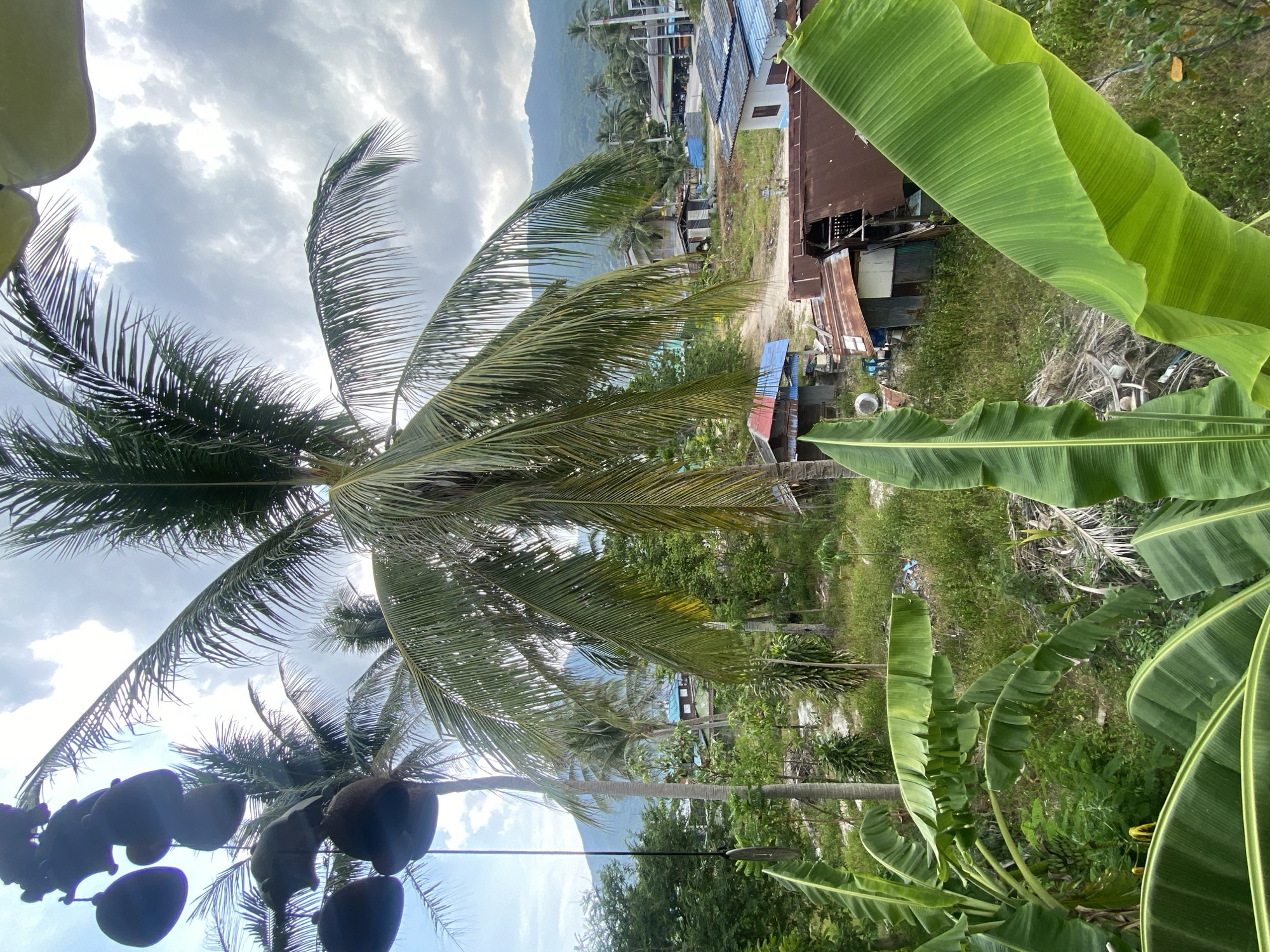 Quiet morning moments captured in Thai coastal village