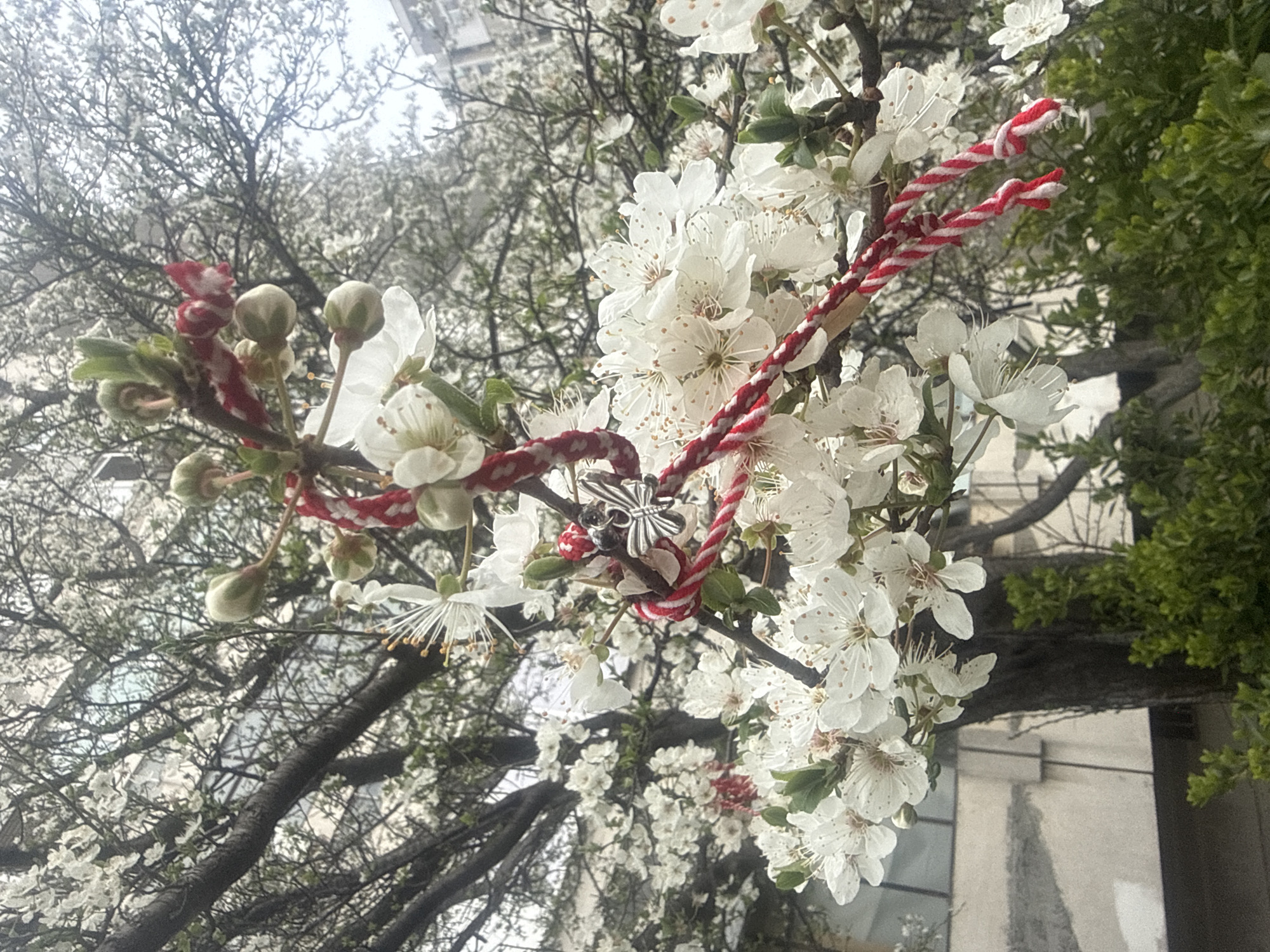 Spring selfies and traditional decorations captured in Varna, Bulgaria