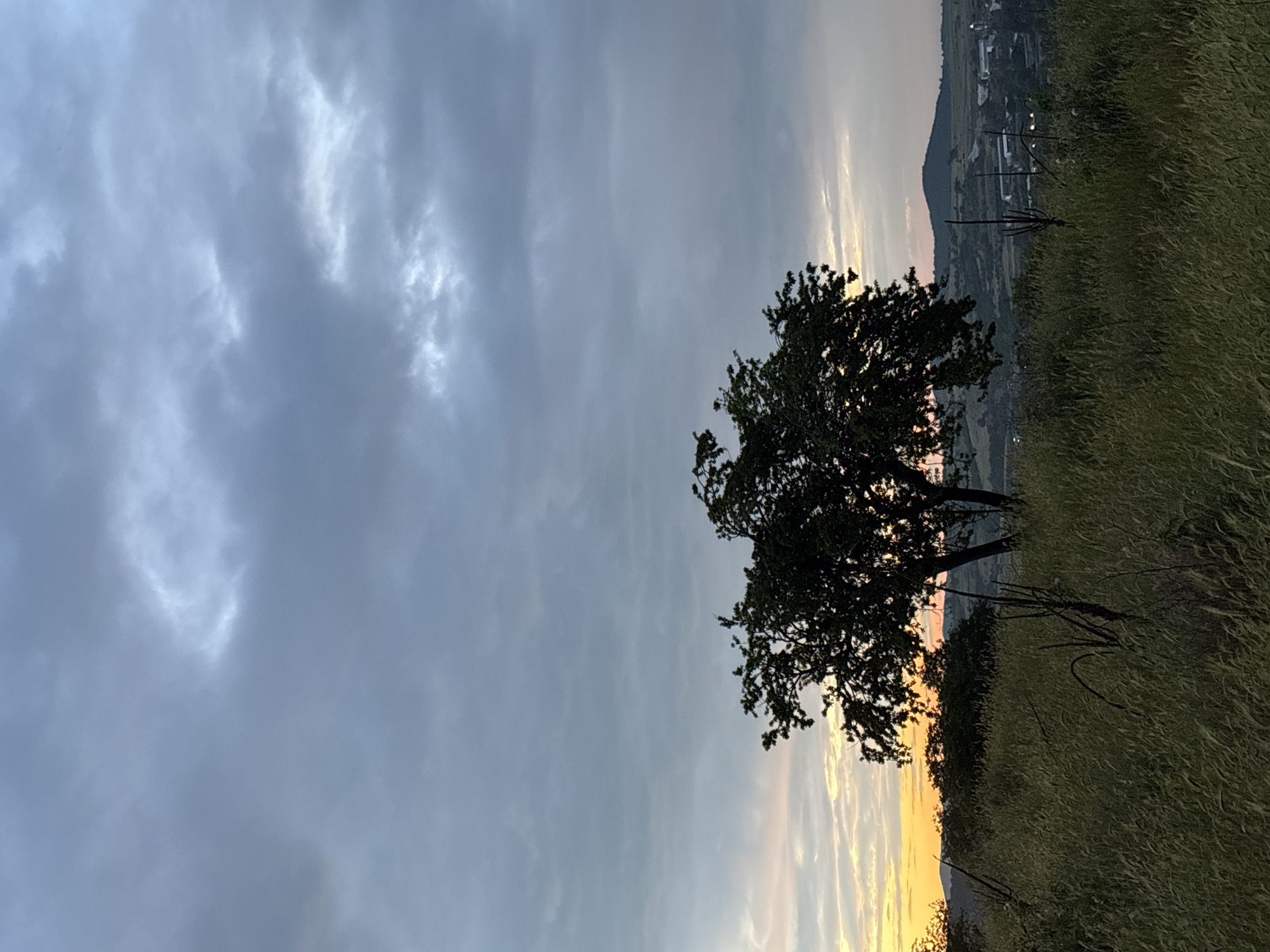 Dawn landscape with silhouetted tree photographed in Strelcha, Bulgaria