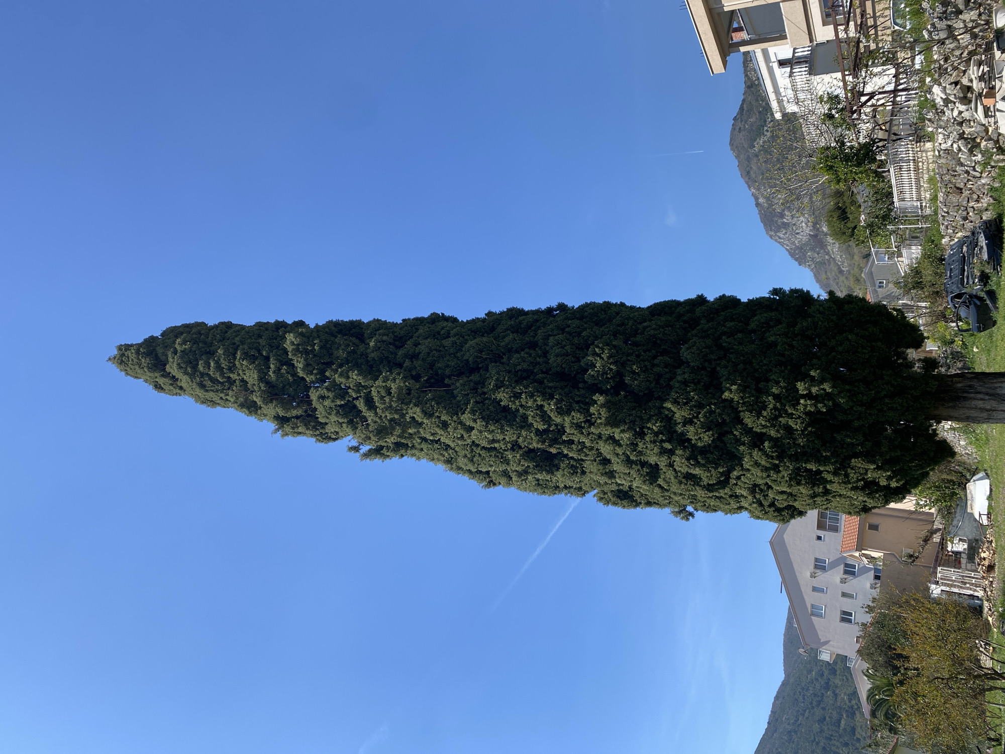 Morning documentation session captures Budva cityscape and personal items