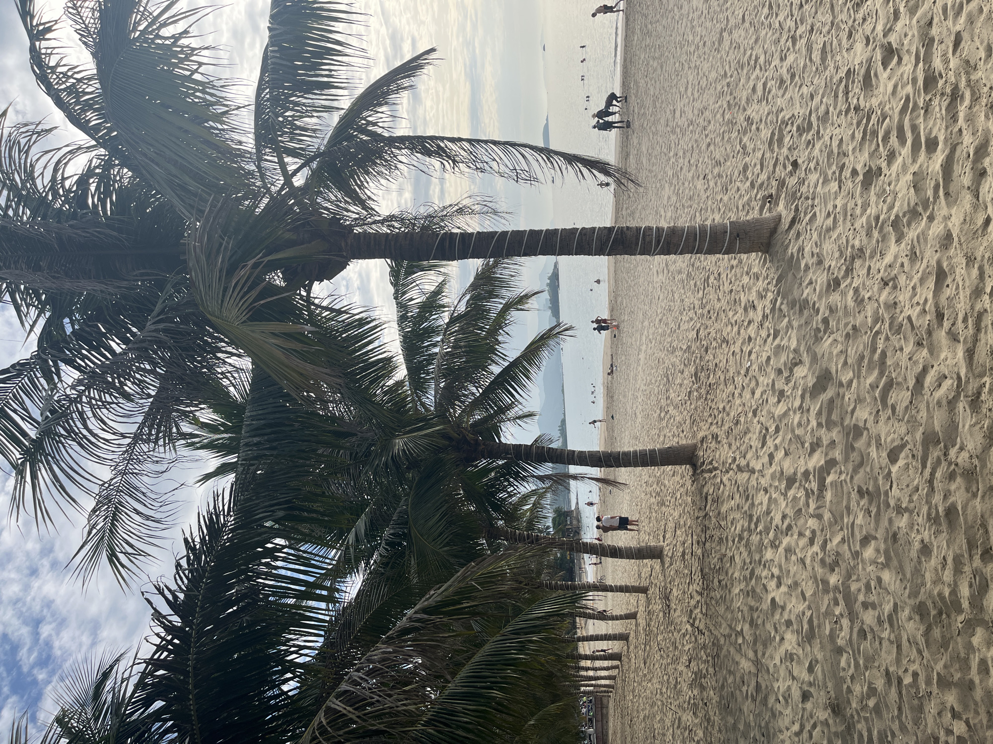Nha Trang beachfront: sand, palms, and coastal street life