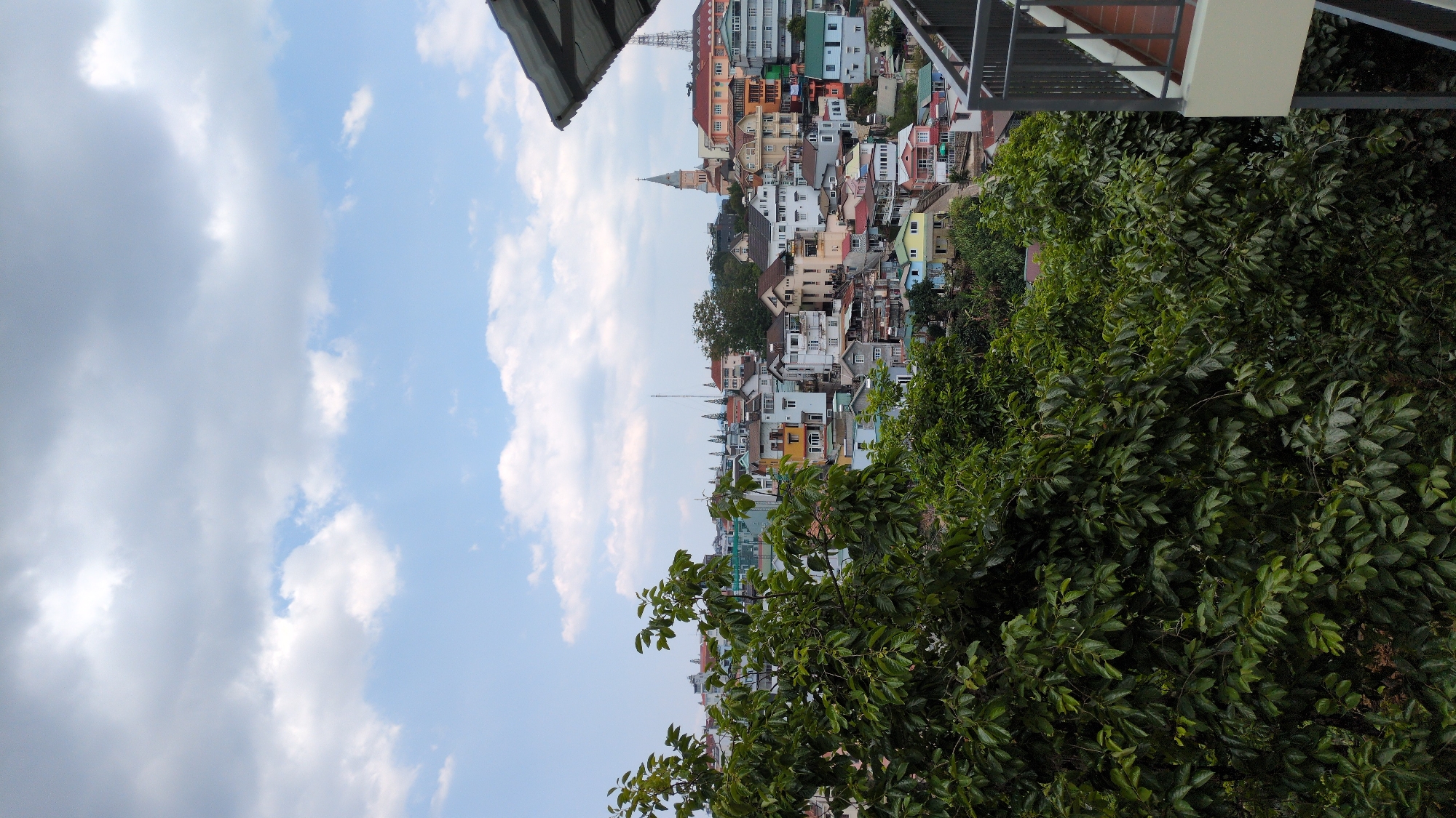 Morning observations capture Da Lat's urban vegetation and cityscape