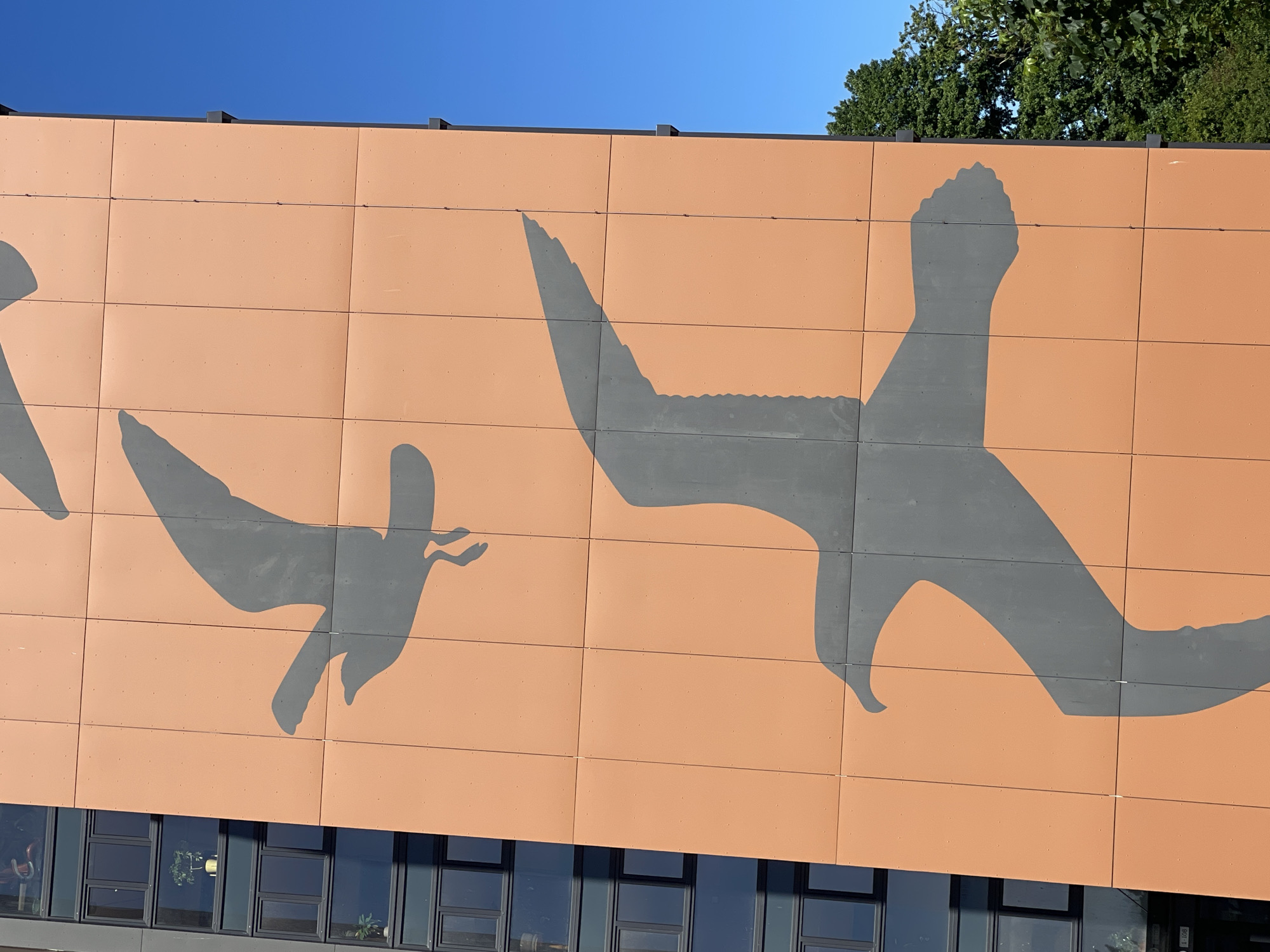 Bold seagull mural covers a building facade in orange and gray