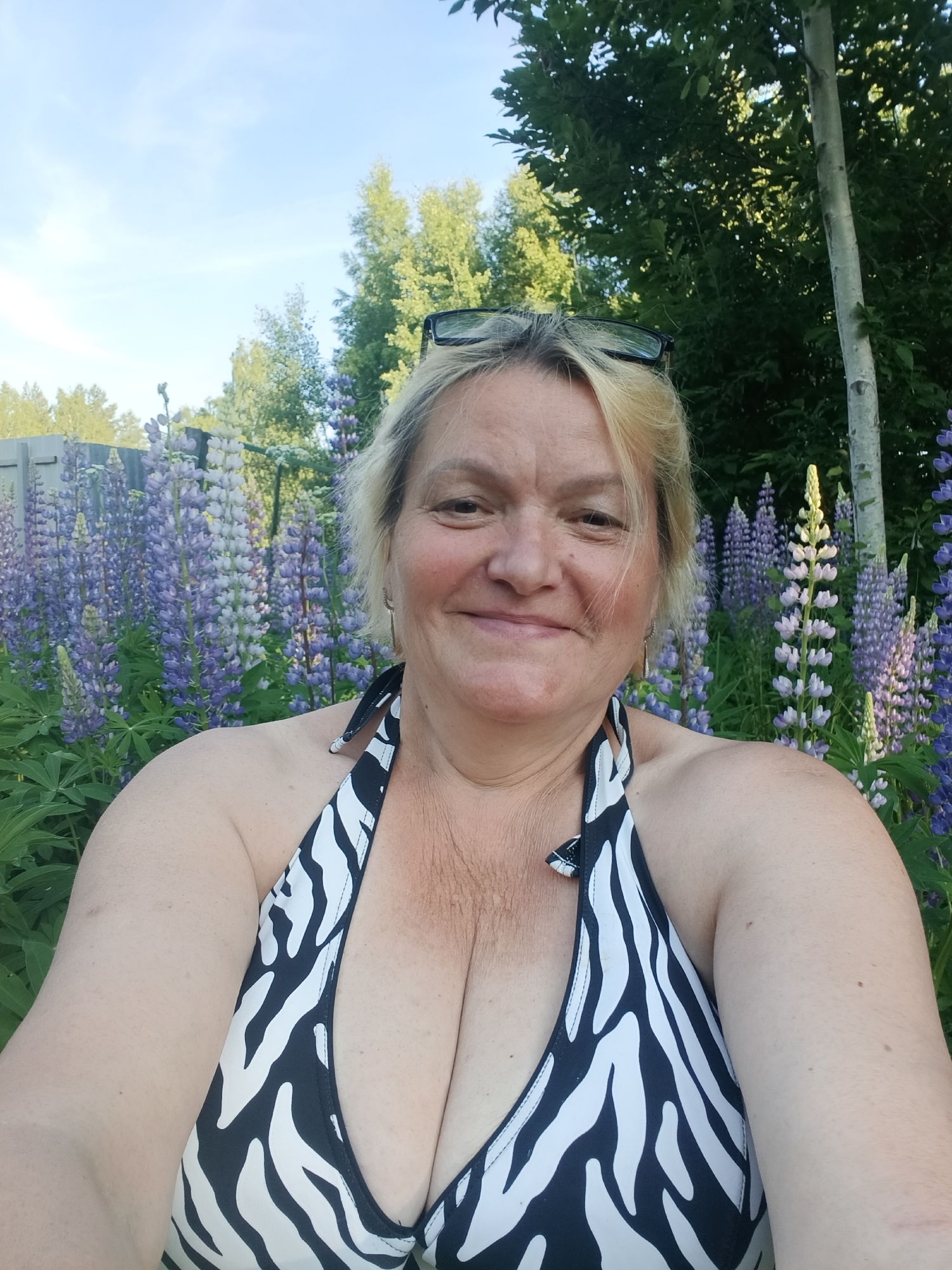Summer gardens bloom in Russian village during sunny afternoon