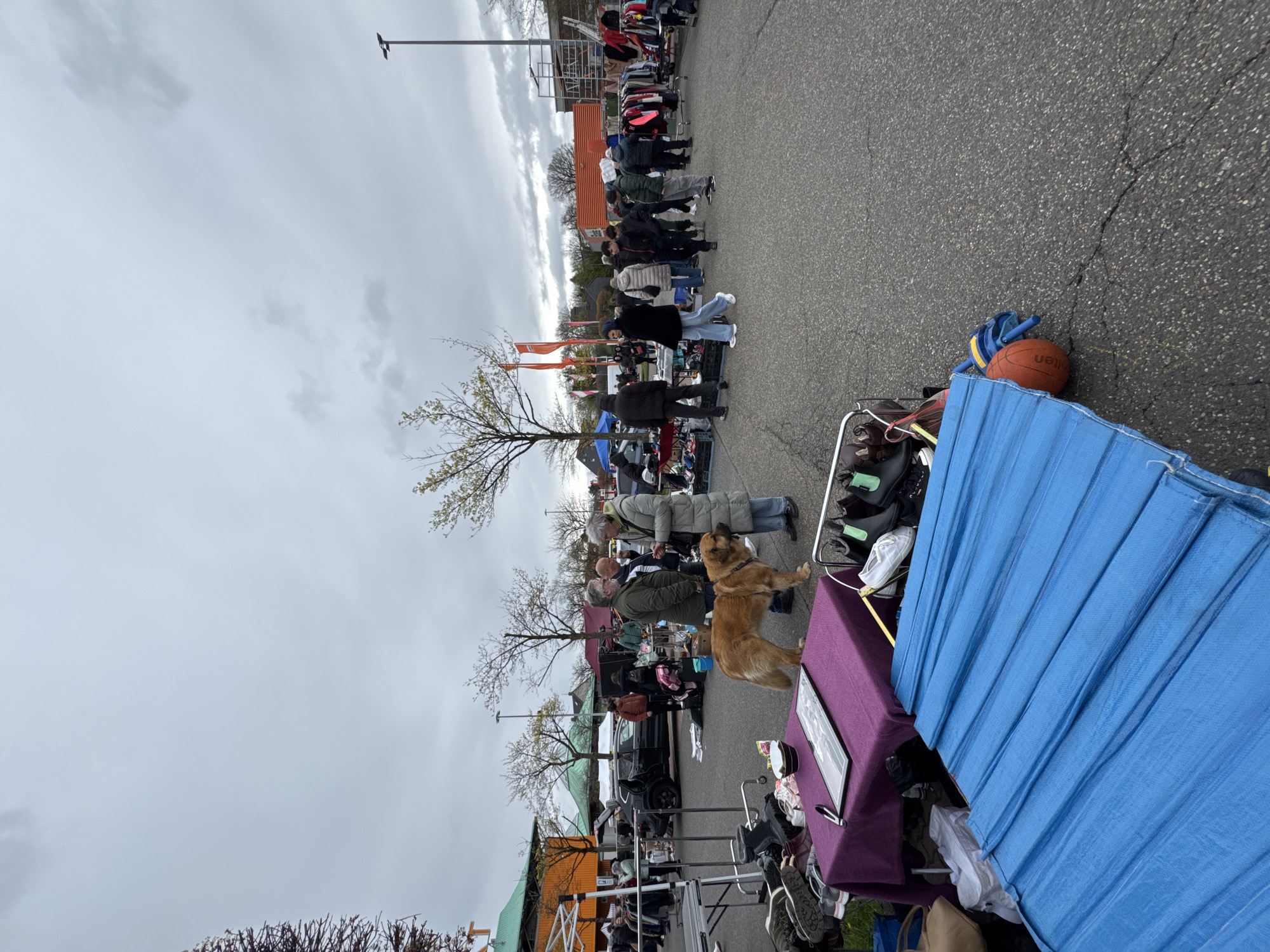 Sunday flea market draws crowds at Wuppertal garden center