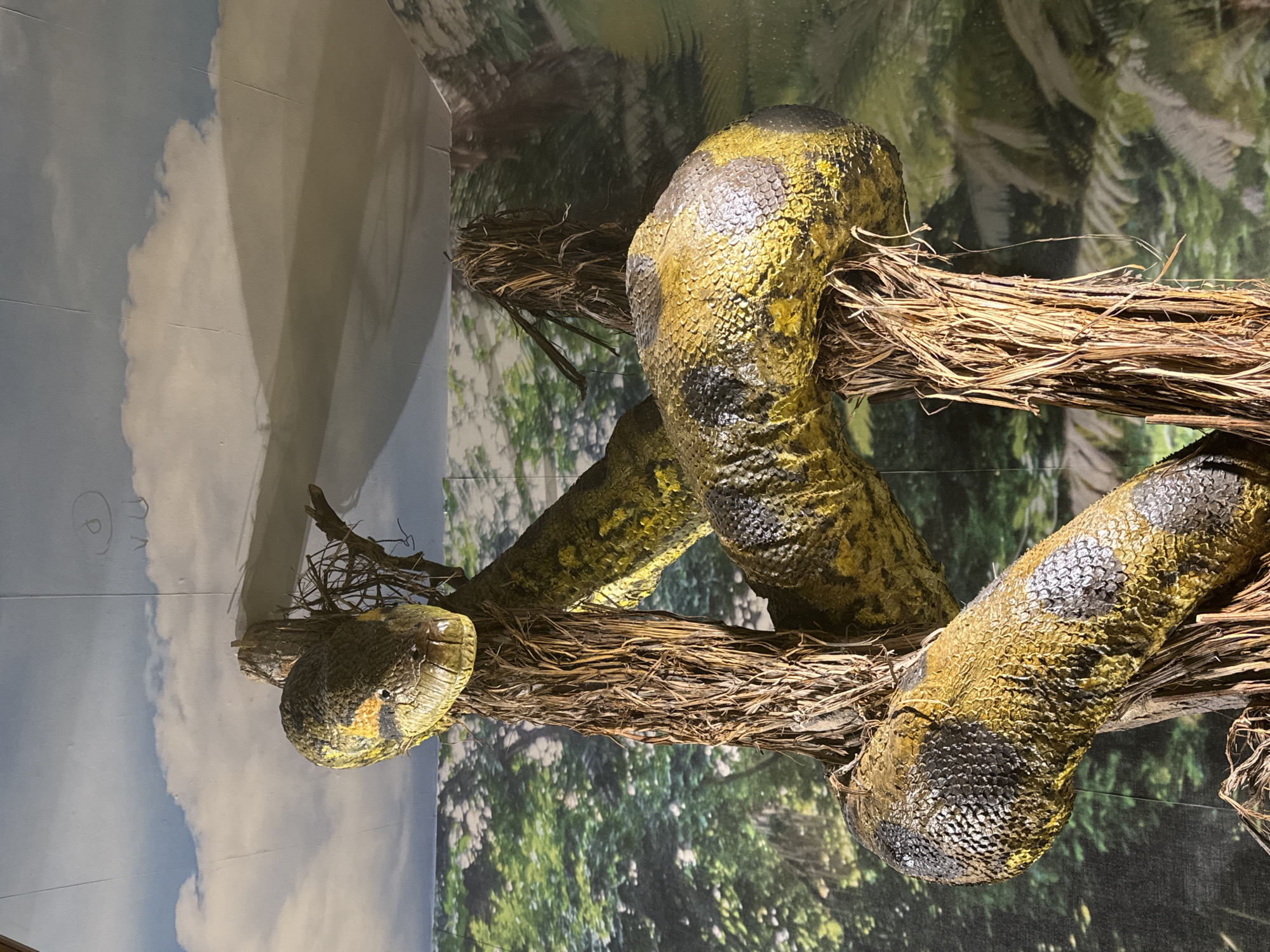 Wildlife exhibits documented at Plovdiv Natural History Museum