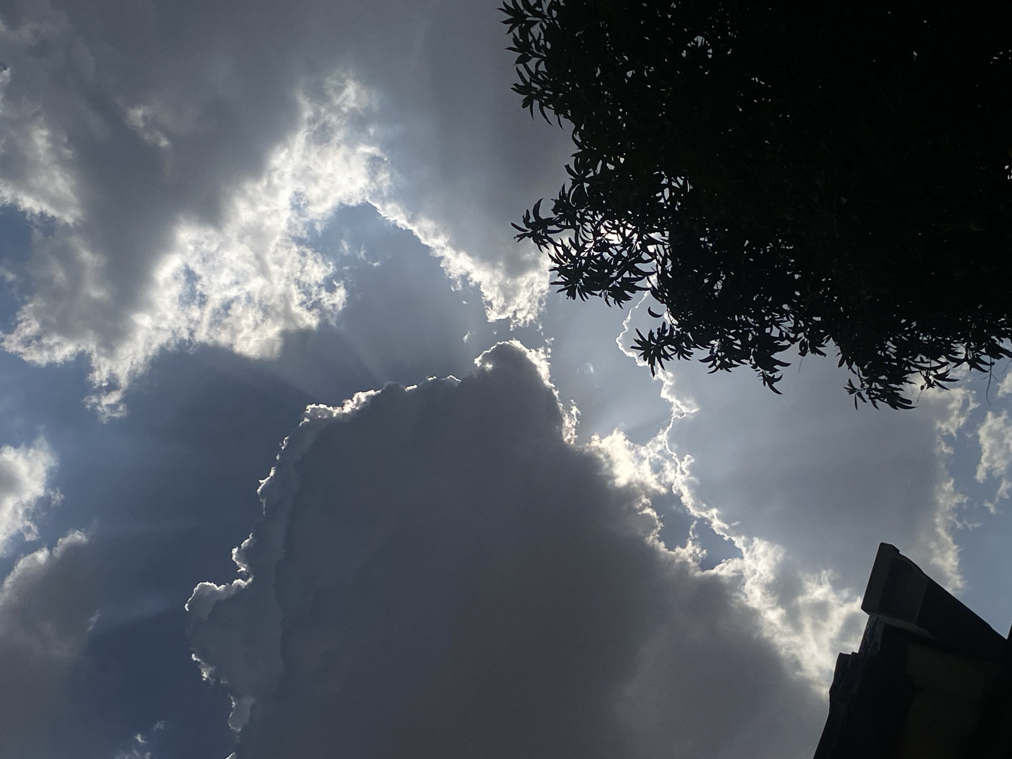 Afternoon sky watching session documented in Barden Yana, Nigeria