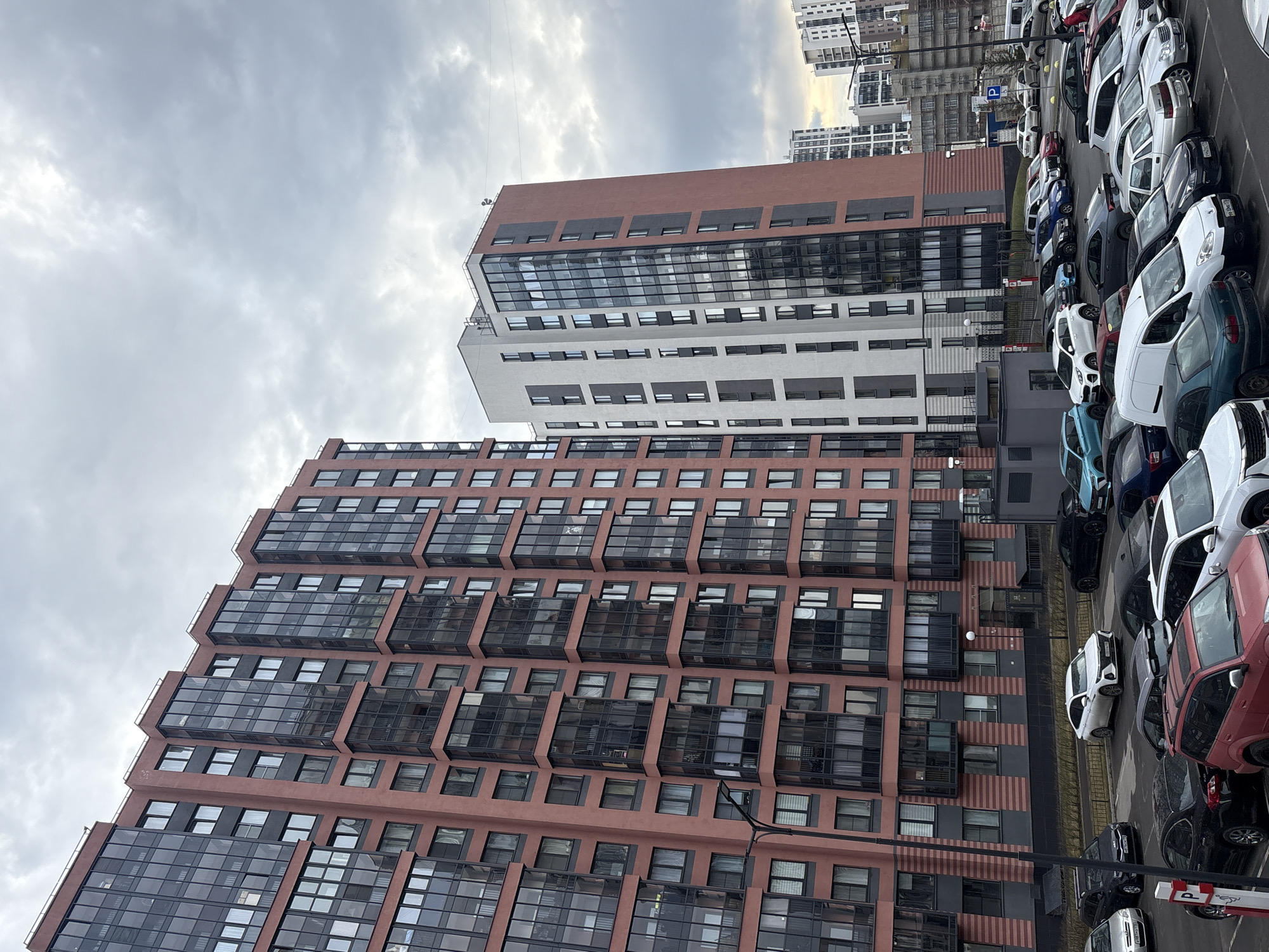 Minions toys and apartment buildings documented in Saint Petersburg