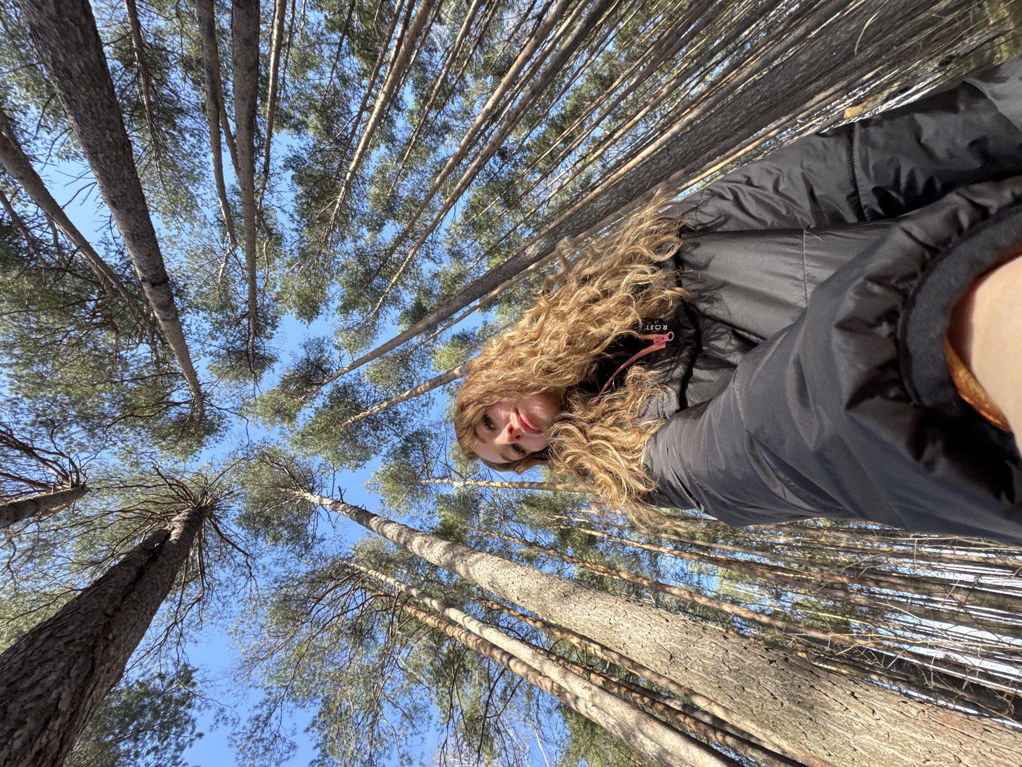Forest walk and workshop day documented in Chaikovsky, Russia