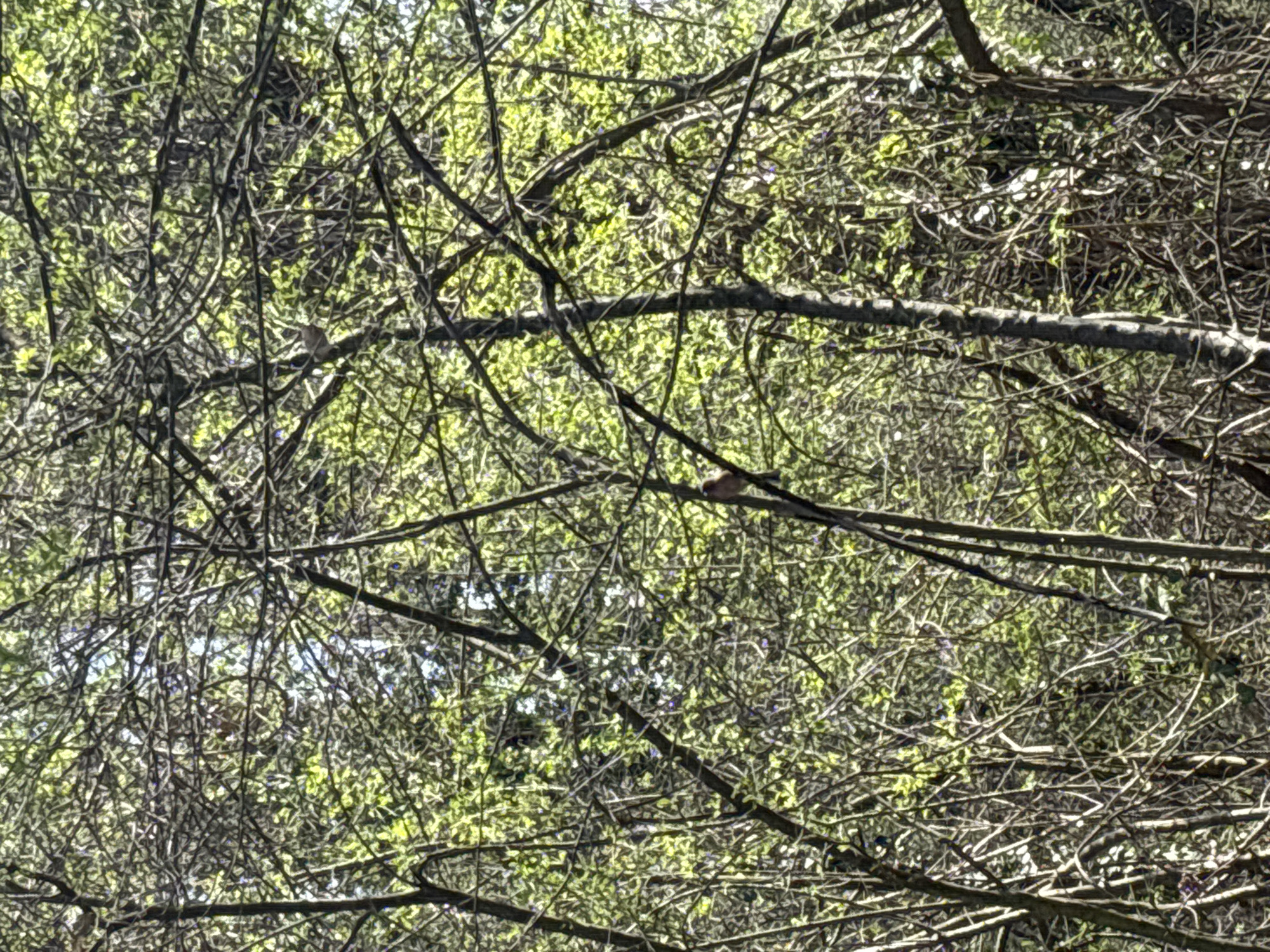 Spring walk through Sofia park captured in 18 memories