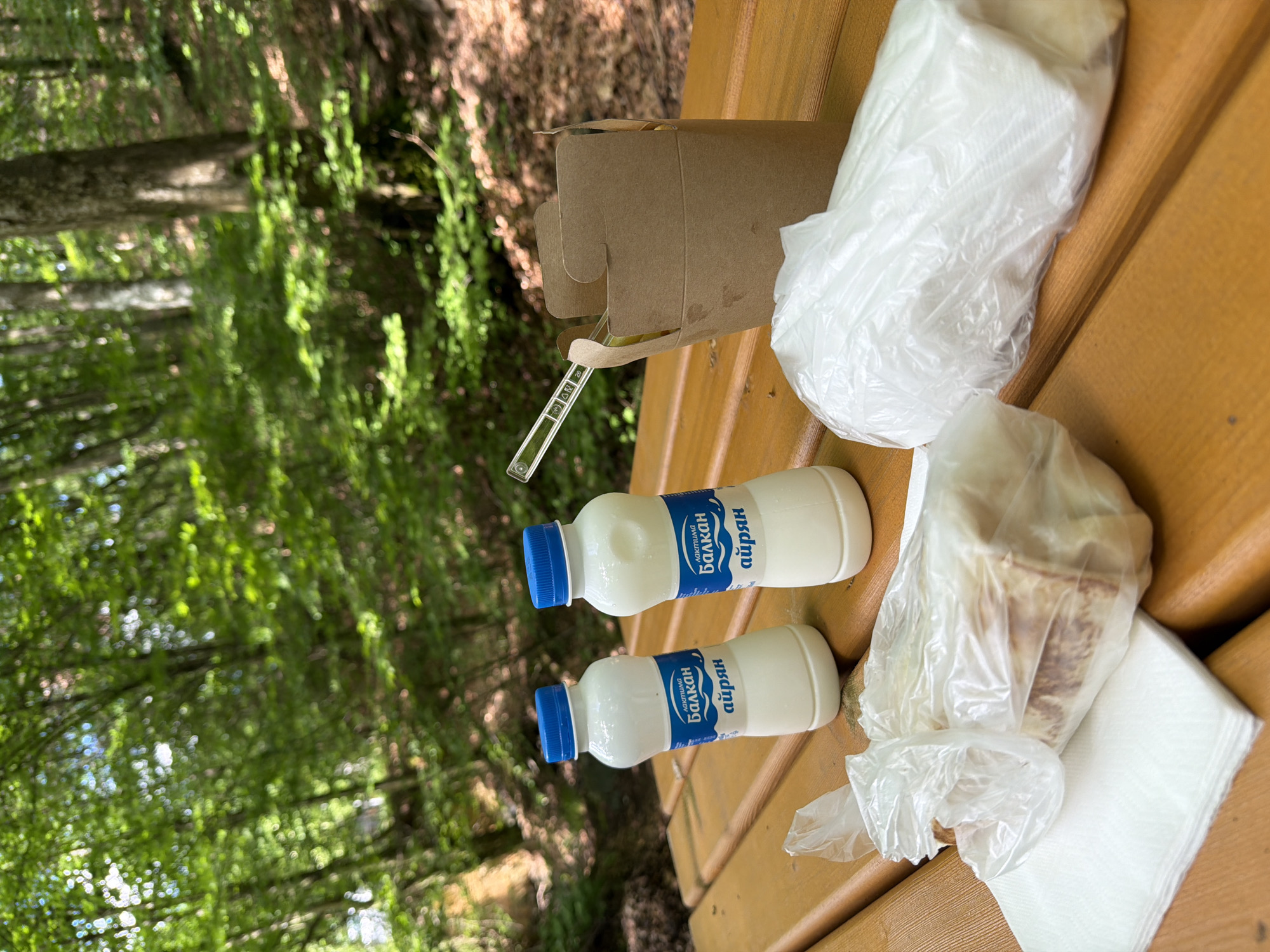 Forest excursion and outdoor meal documented in Pravets, Bulgaria