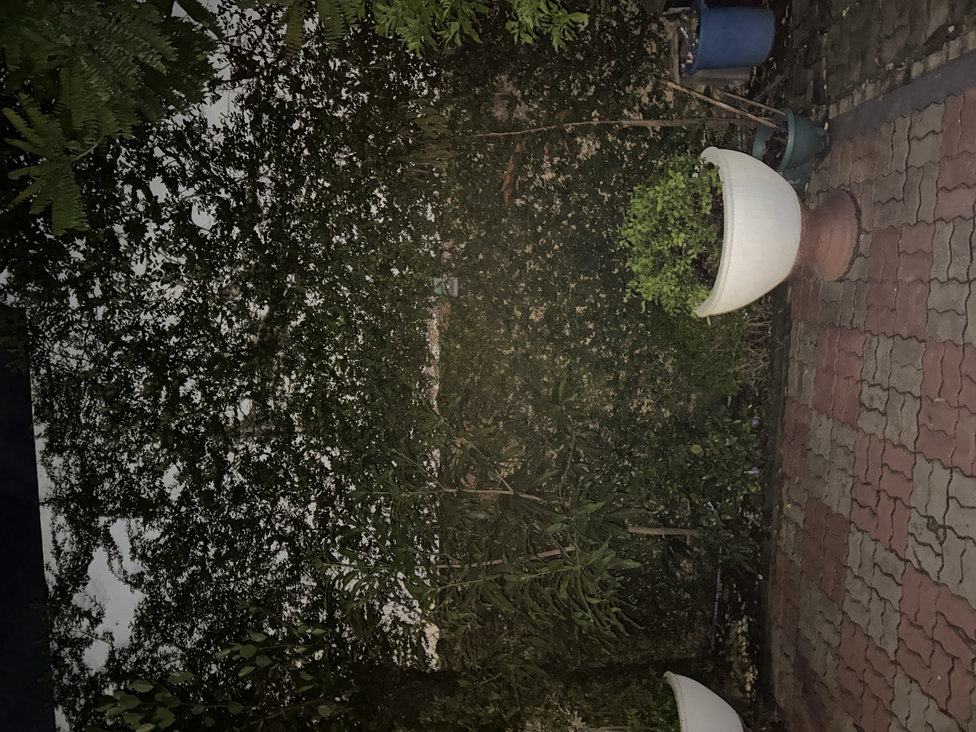 Nighttime residential property documented in 27 memory fragments