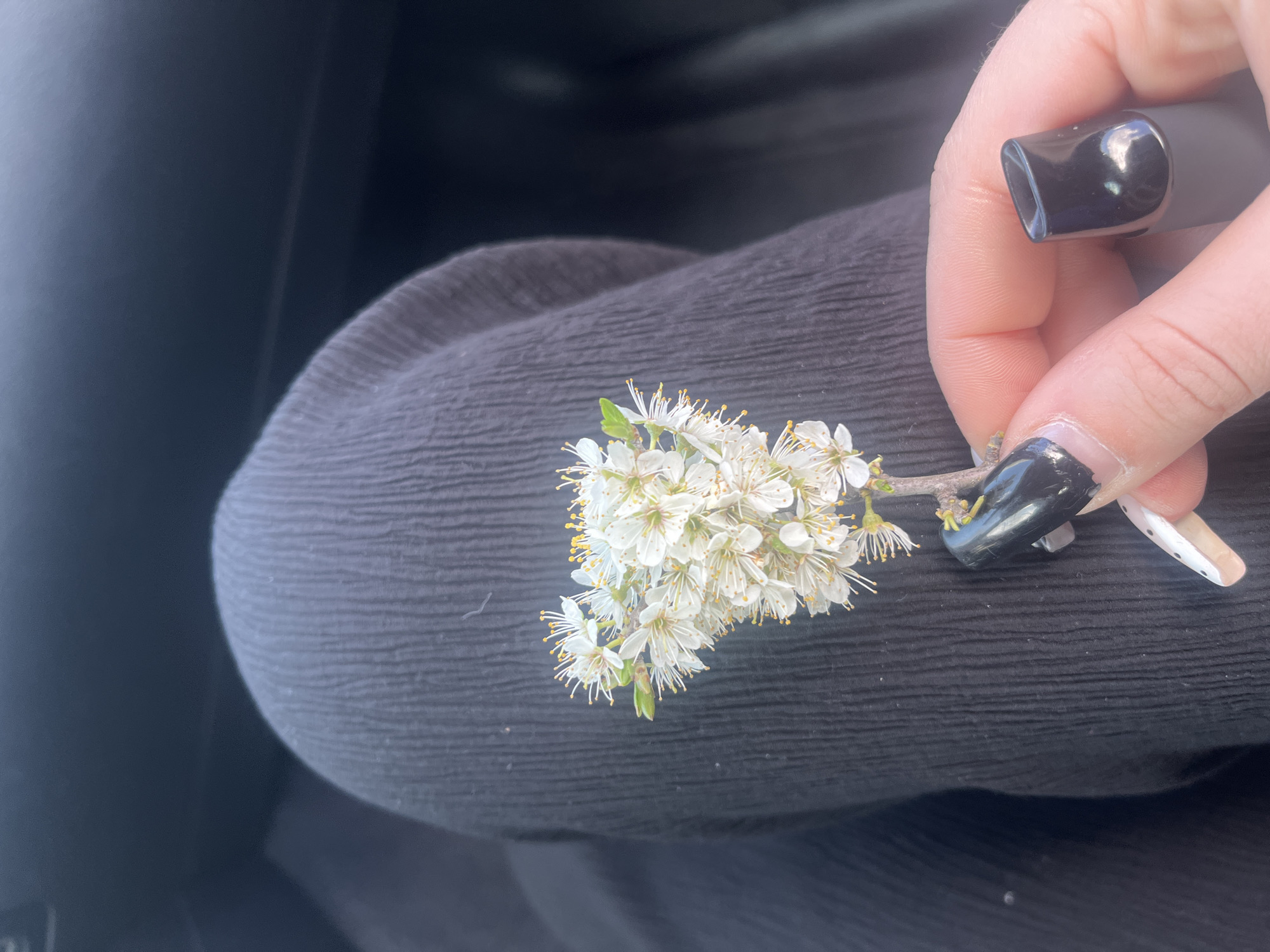 Person holds flowers, vaping device in car near Kereka