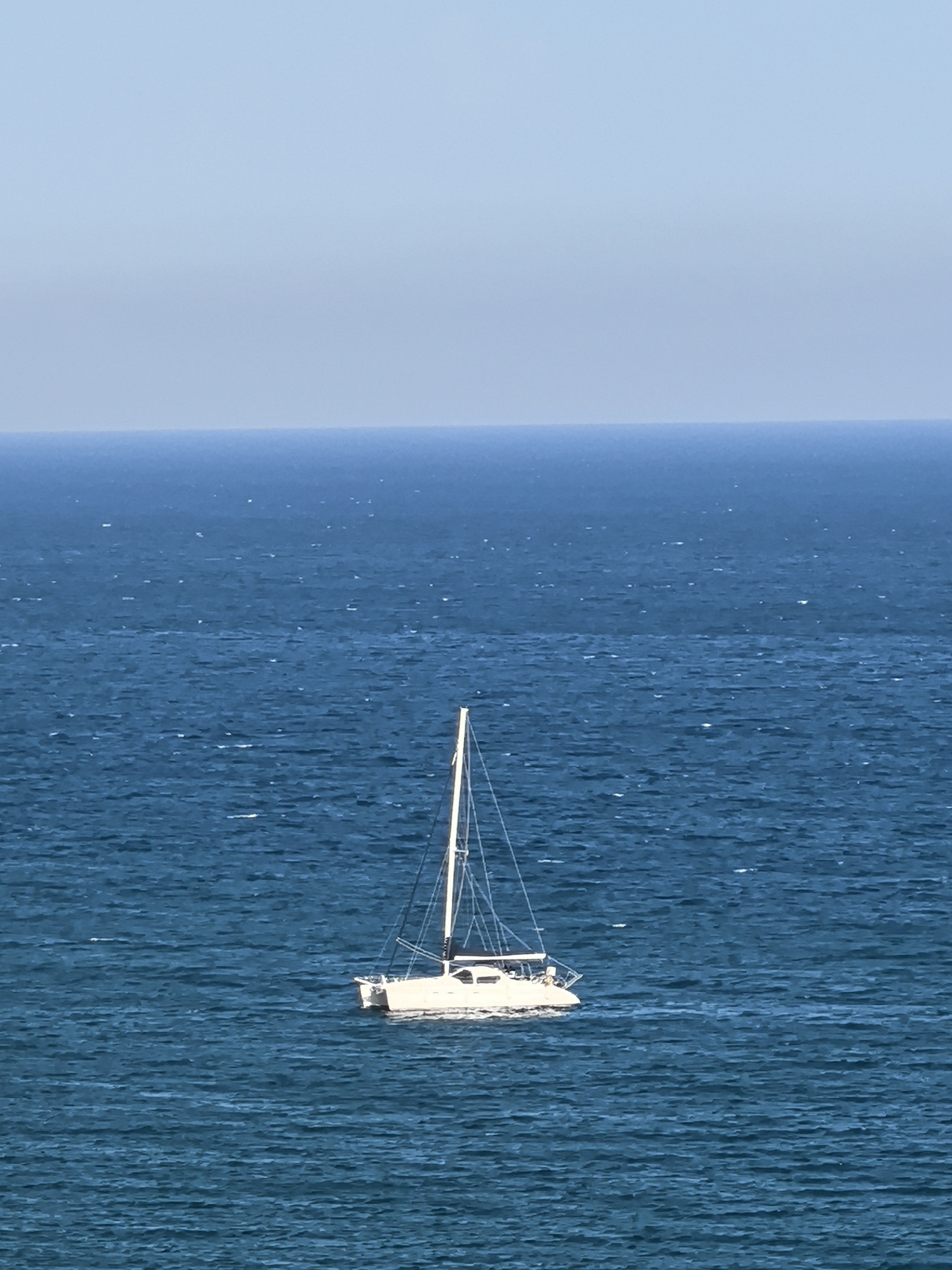 White catamaran spotted sailing off Sitges coast