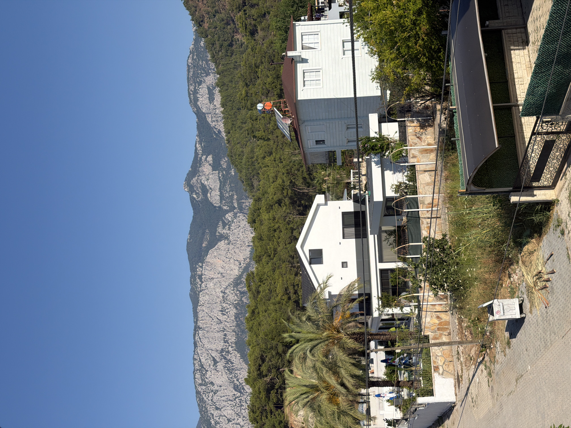 Sunny residential neighborhood with mountains, greenery, and architecture