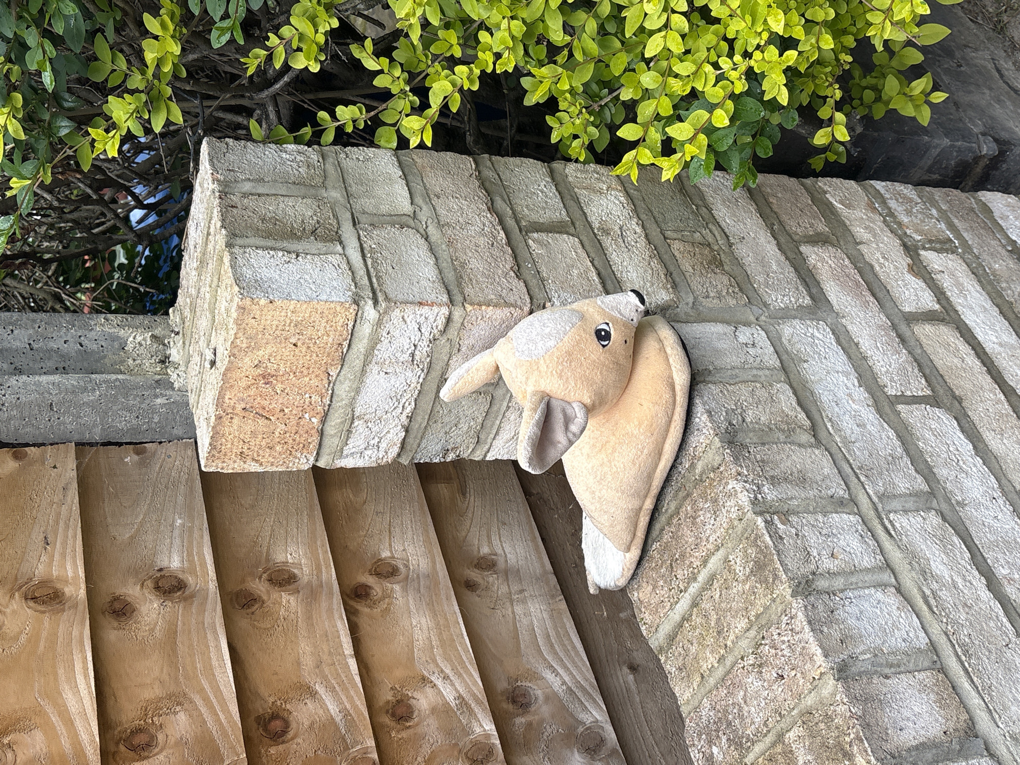 Plush toy found lodged near London residence during morning hours