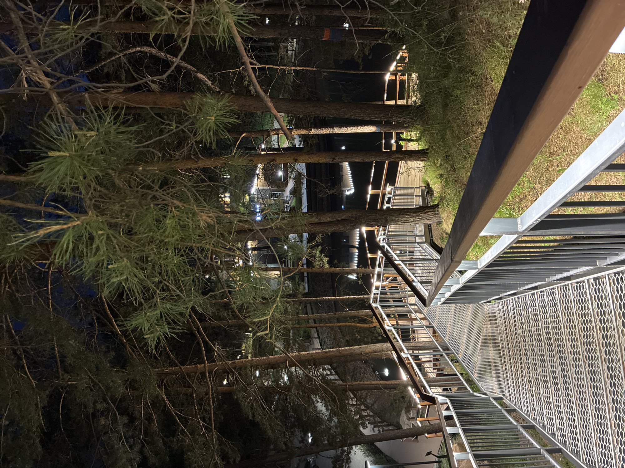 Nighttime forest walkway and structures observed by single witness