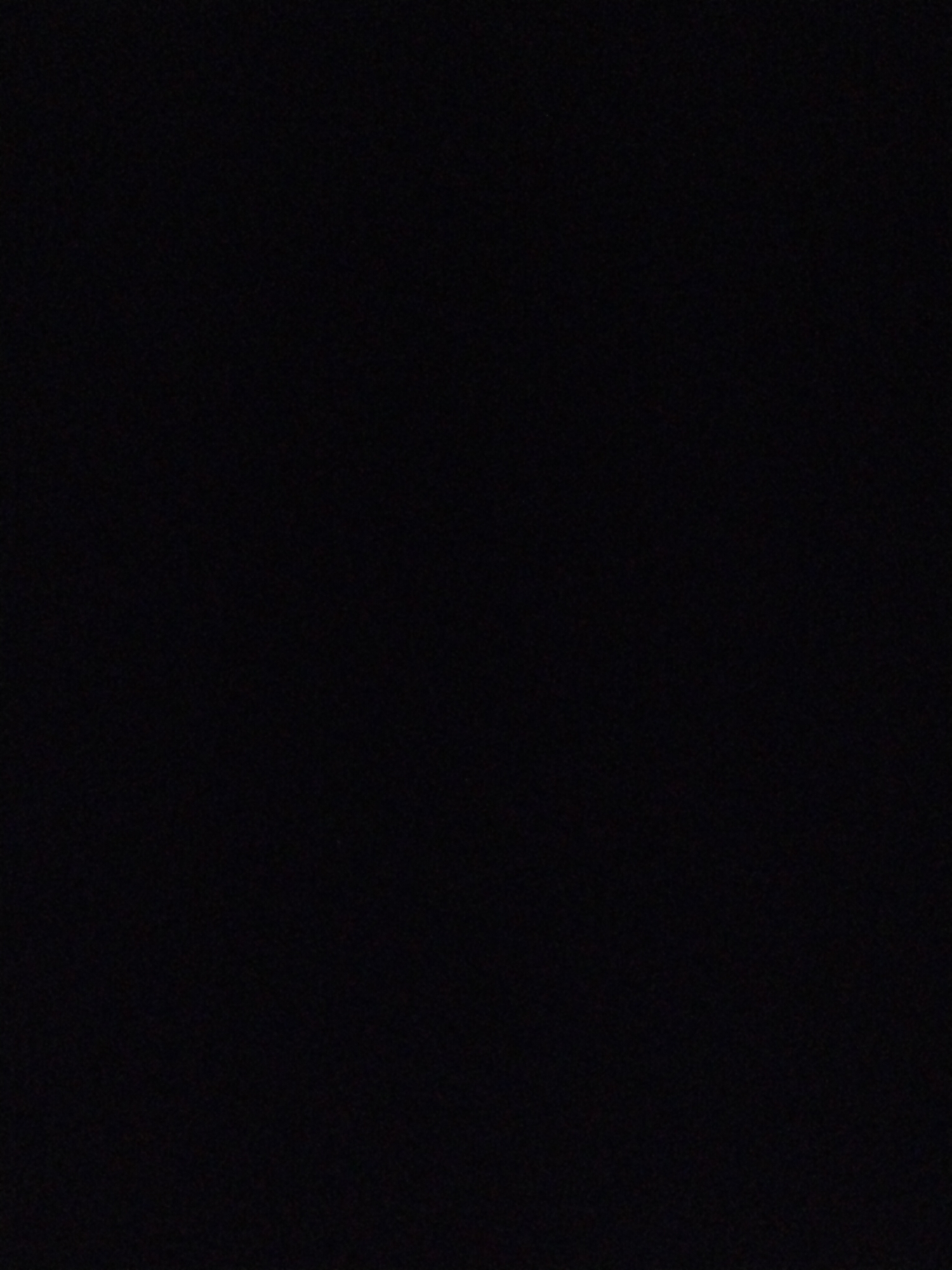Witness Records Two Minutes of Complete Visual Blackout