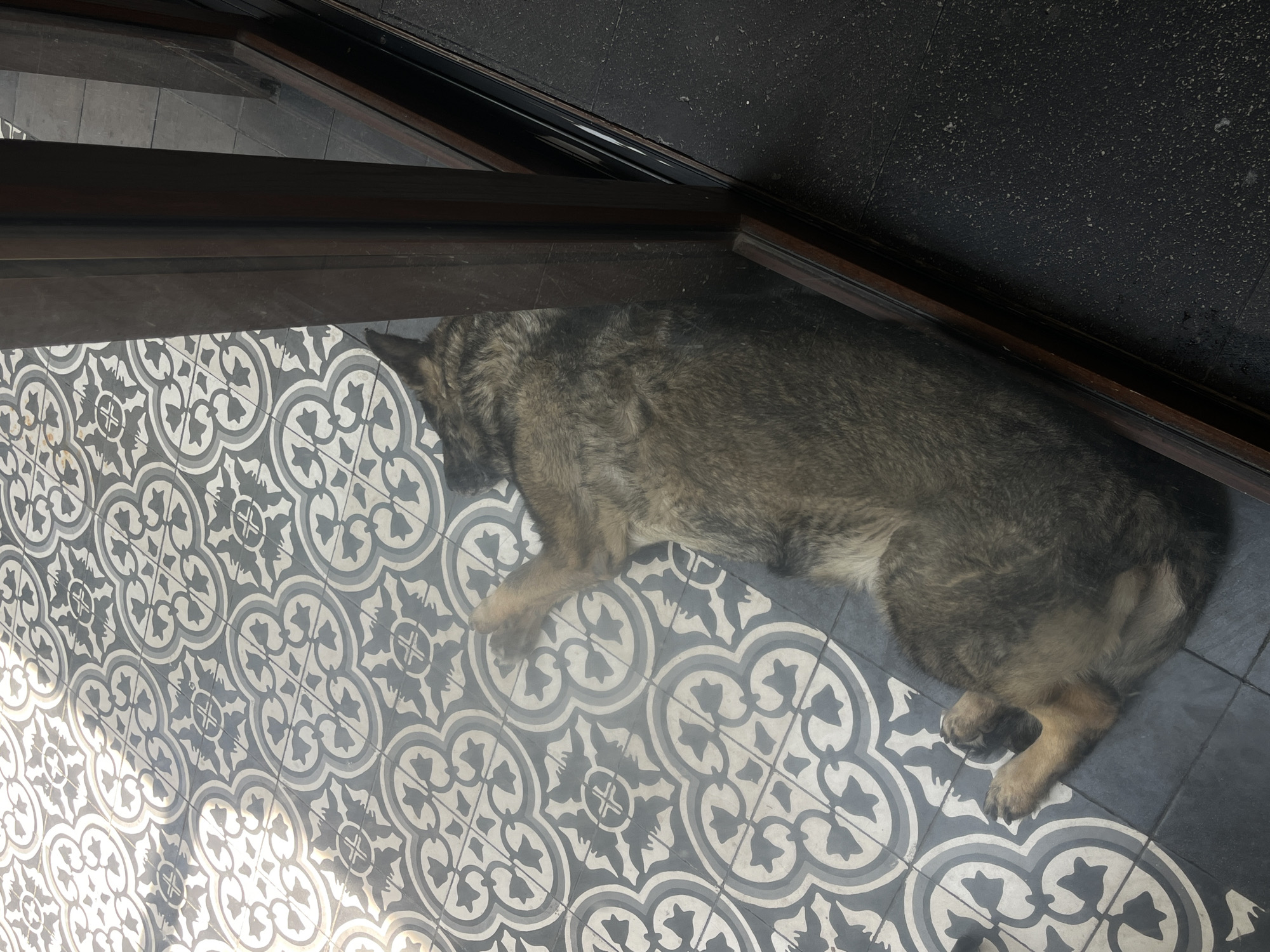 Quiet indoor moments documented in Mexican home