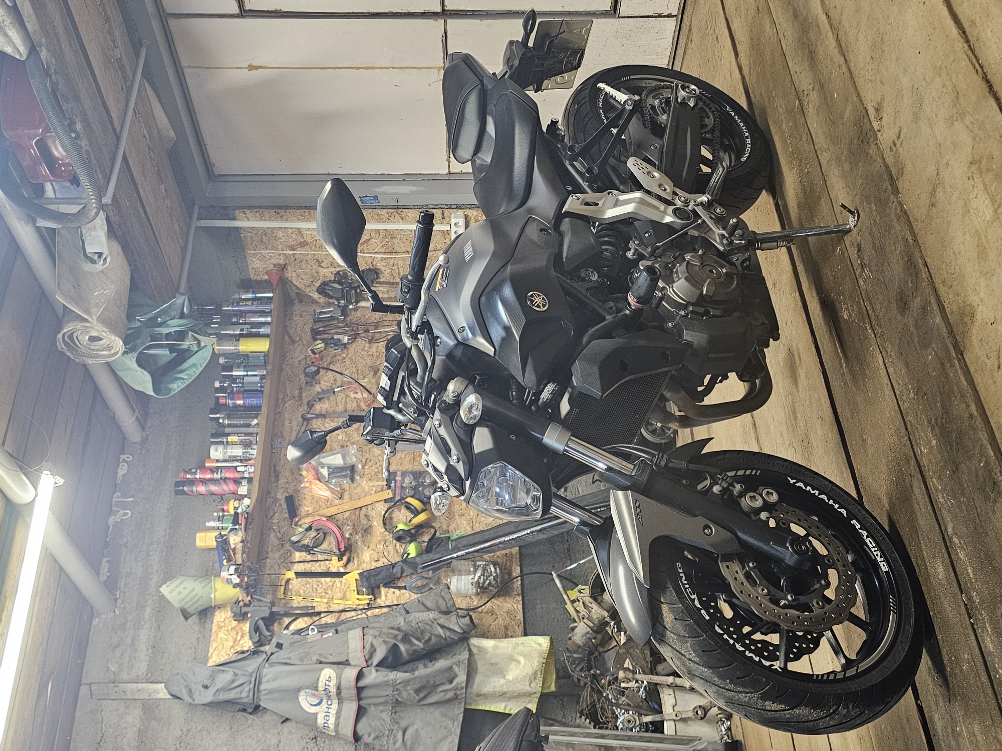 Quiet moments: motorcycle in garage, hand petting sleeping cat