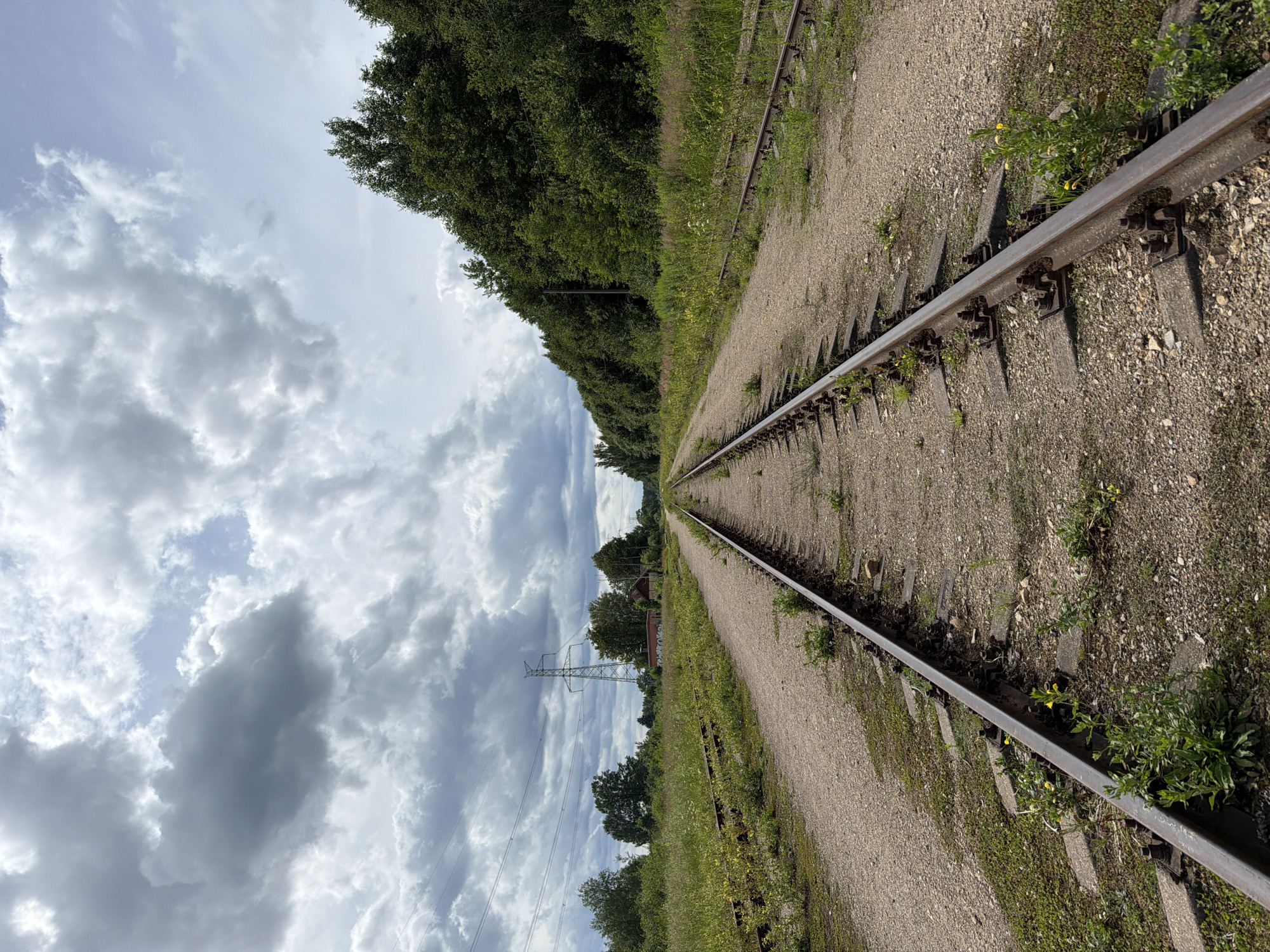 Overgrown railway and wildlife along a quiet Latvian track