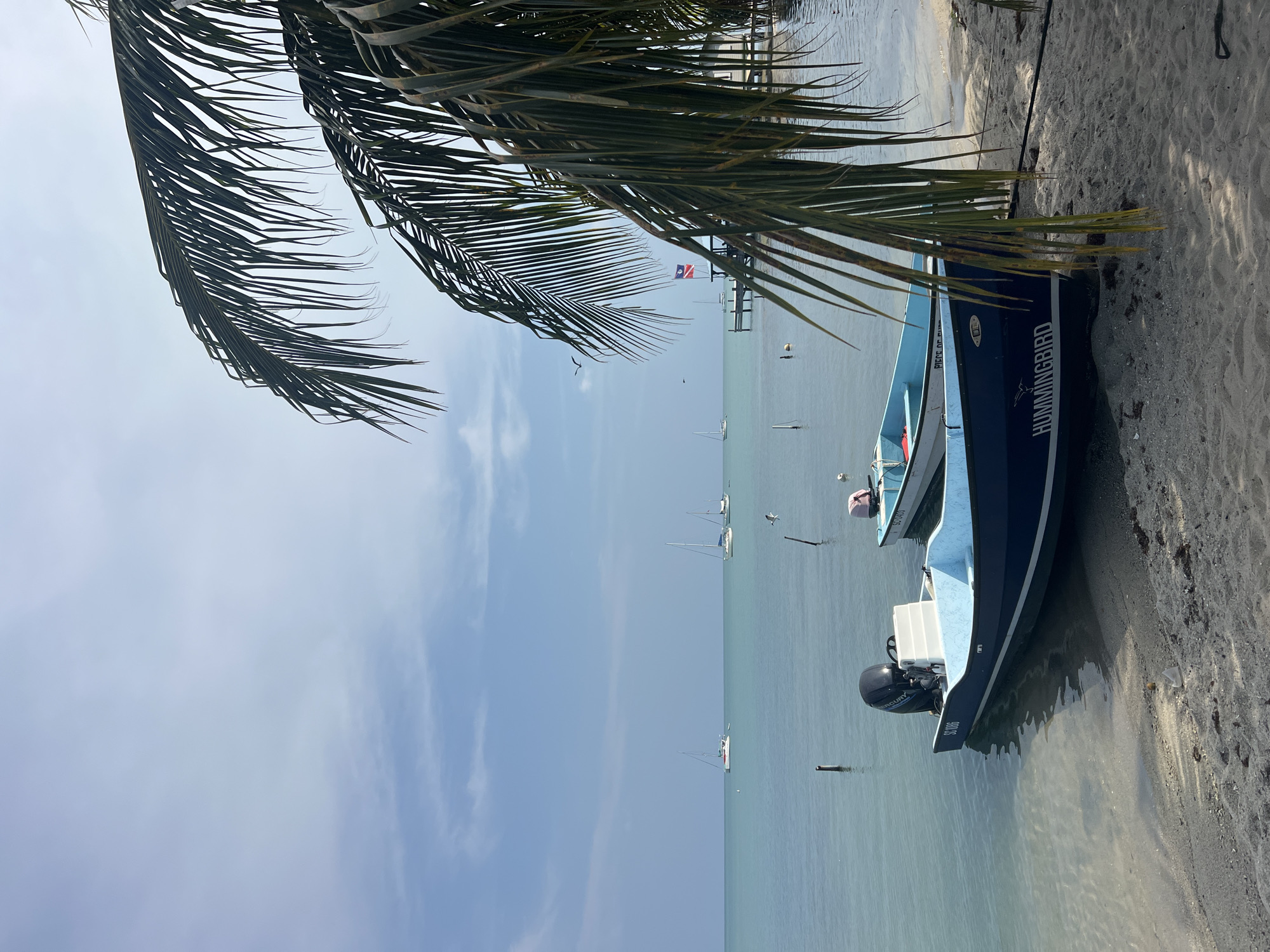 Fishing boats rest on Placencia shore in Belize