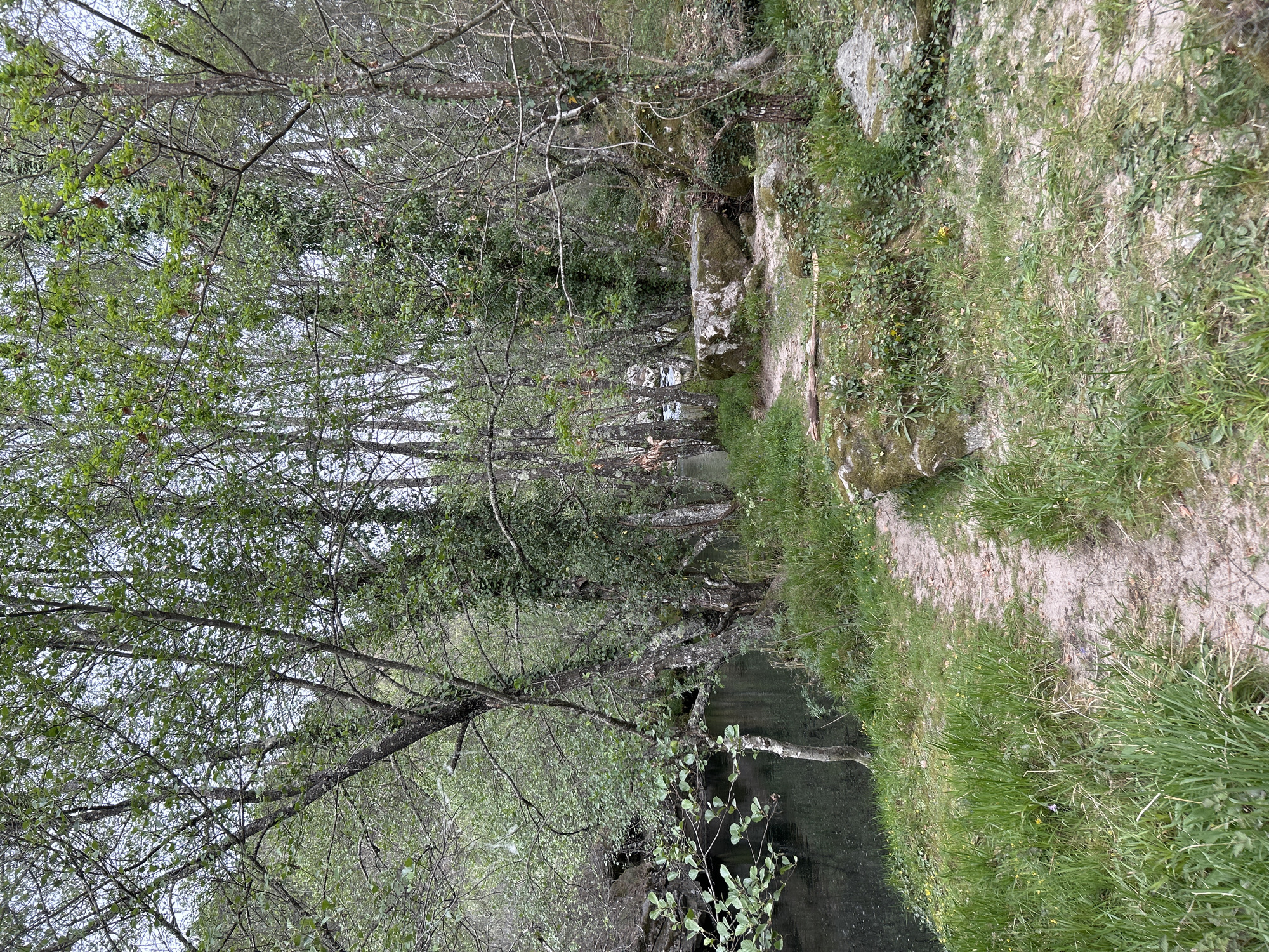 Spring waterway documented in Vila Real, Portugal