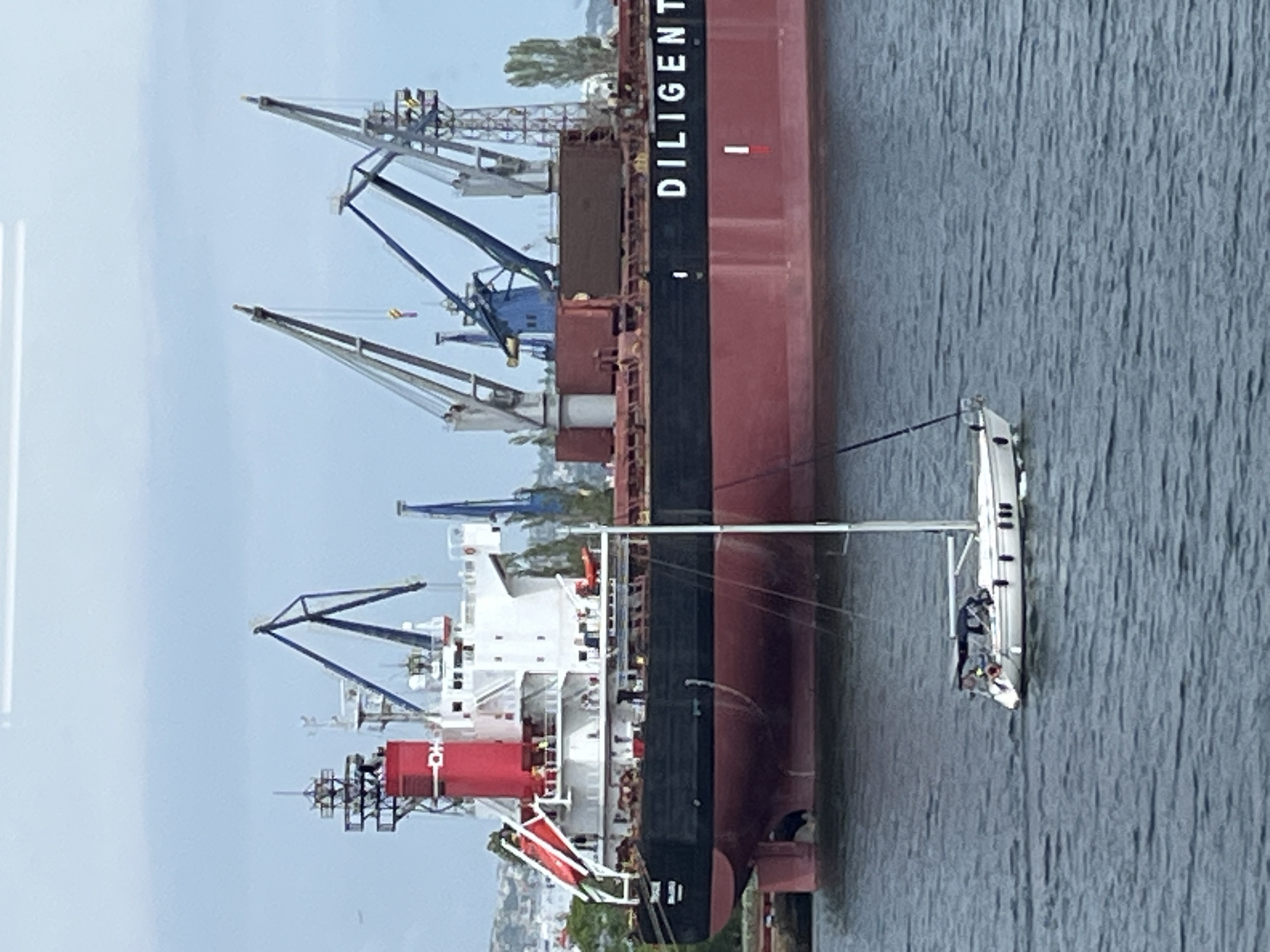 Container ships transit Varna port during routine Saturday operations