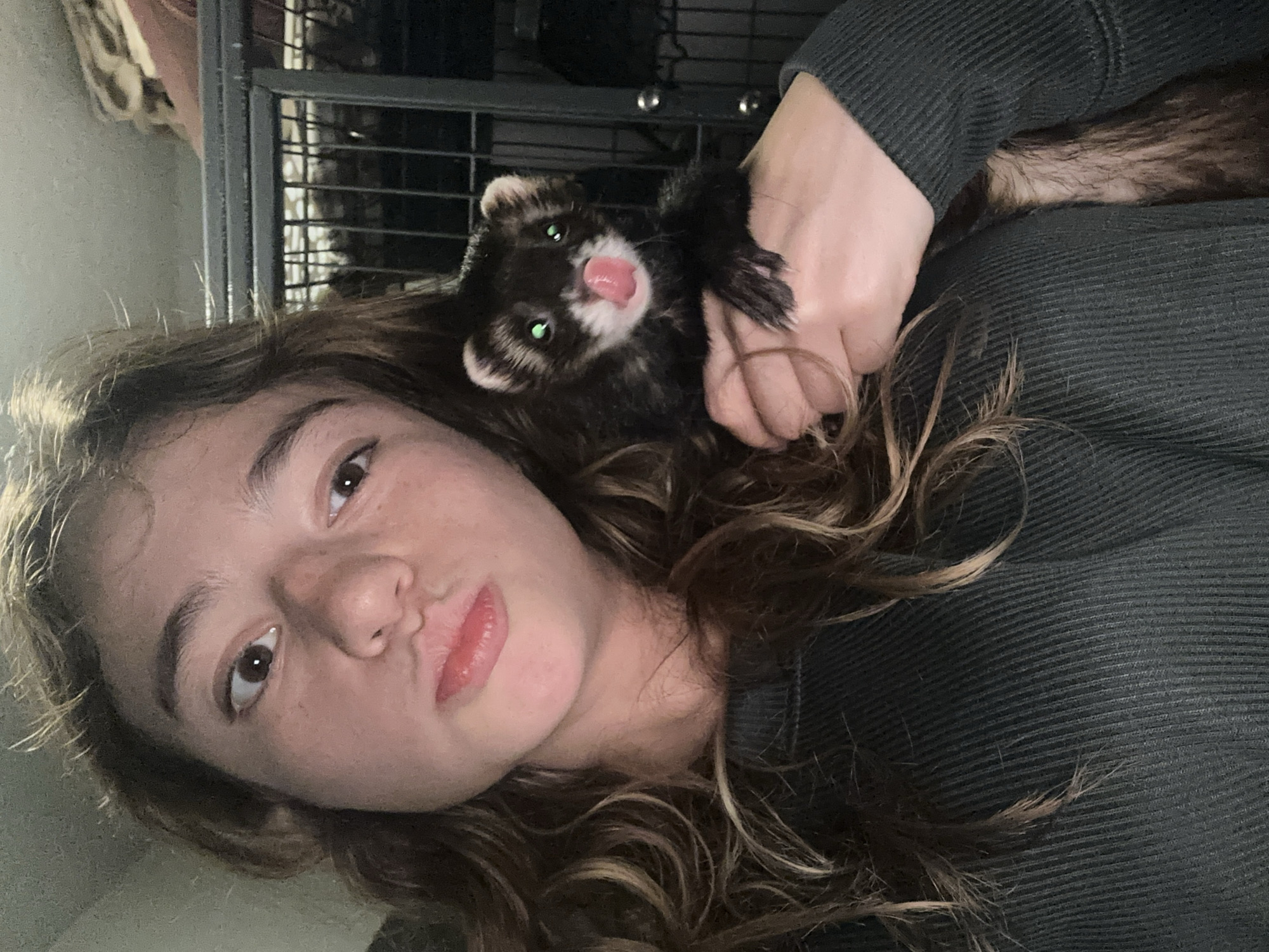 Ferret moments at home in San Bernardino Tlaxcalancingo