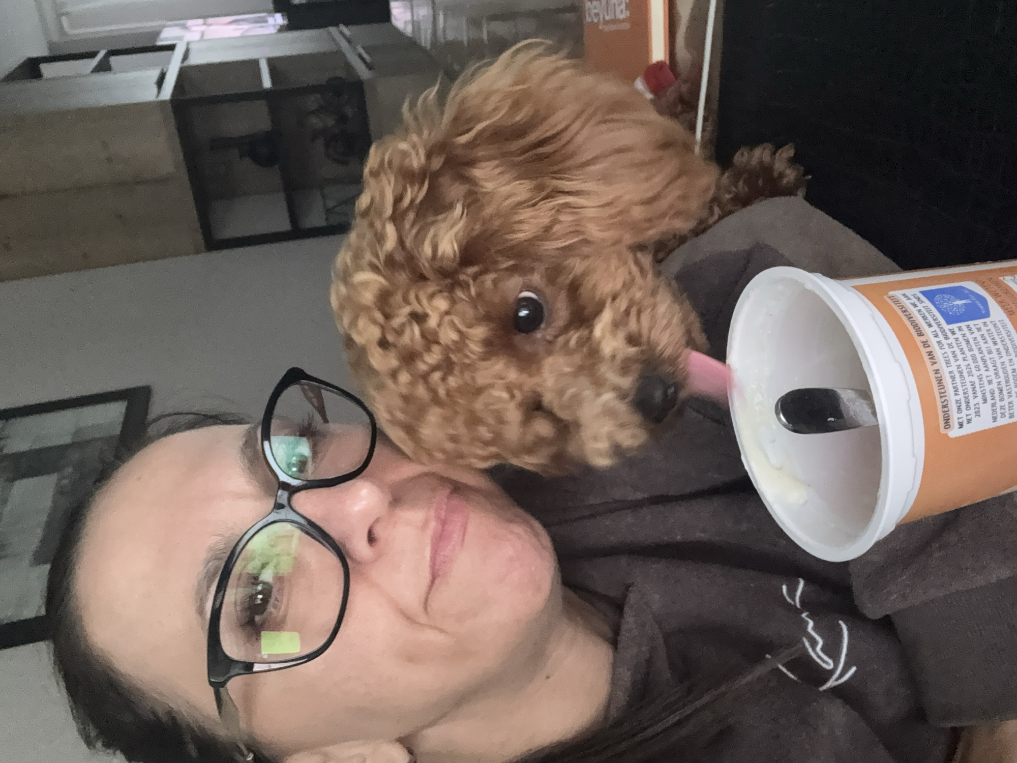 Cozy moments with a small brown dog at home in Marum