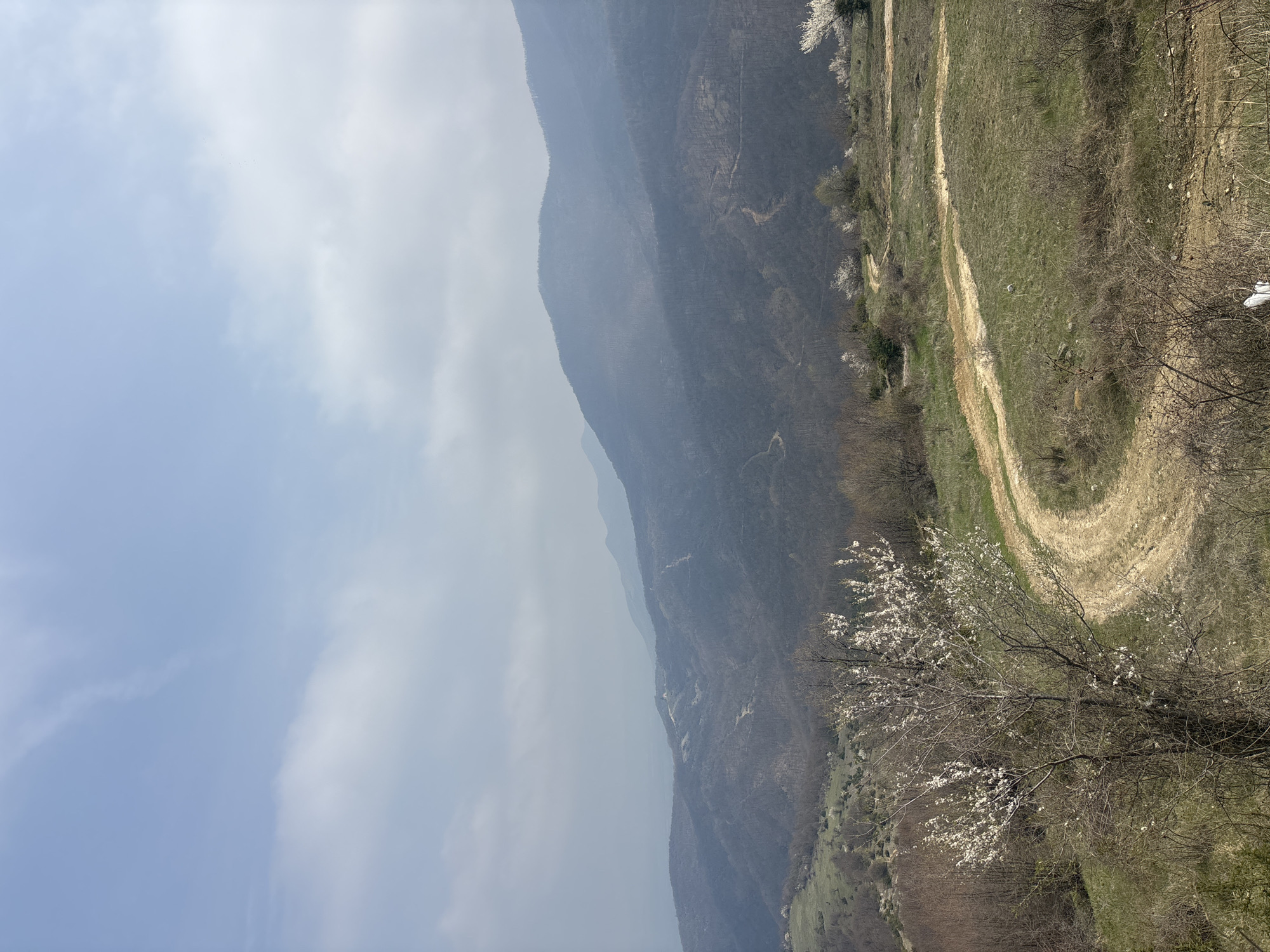 Spring blooms captured along mountain dirt road in Bulgaria