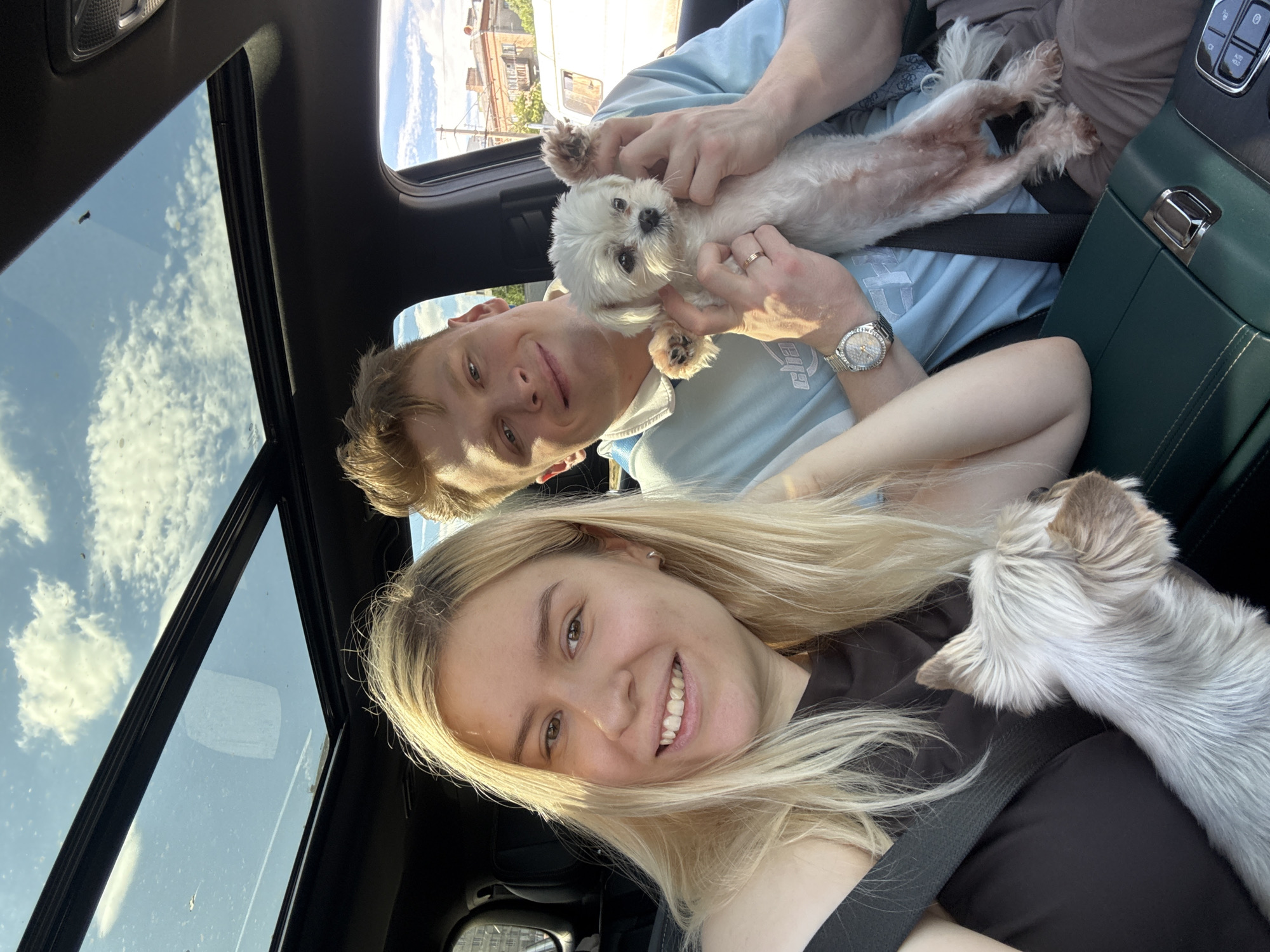 Volgograd afternoon: car rides, cash, and two small dogs