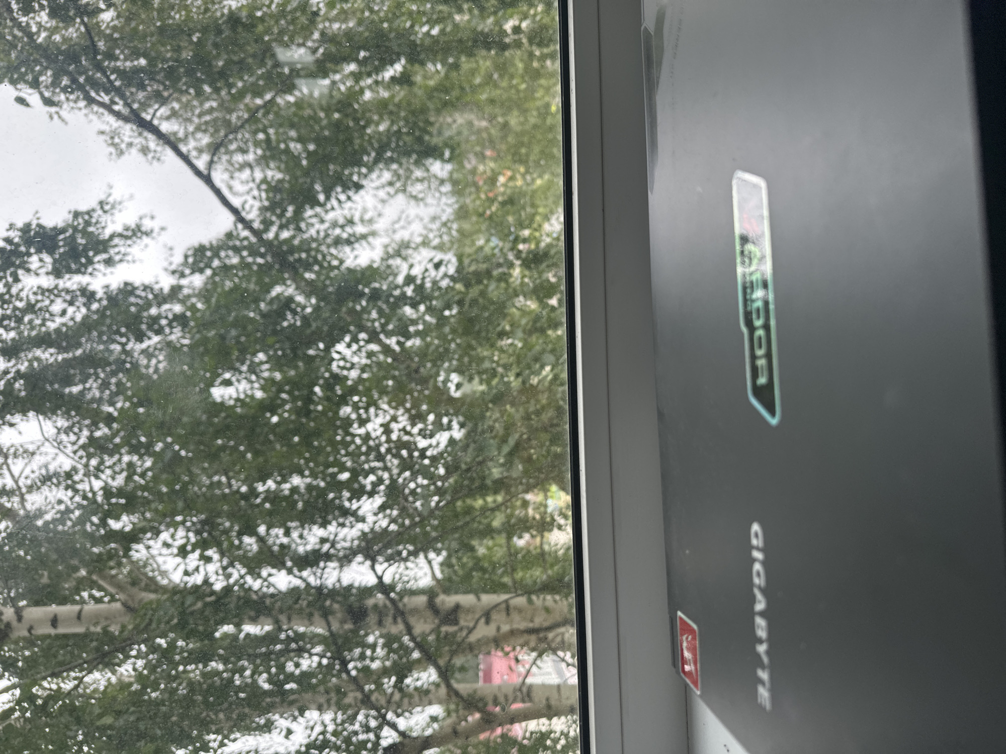 Laptop on a windowsill, birch trees outside in Plesetsk