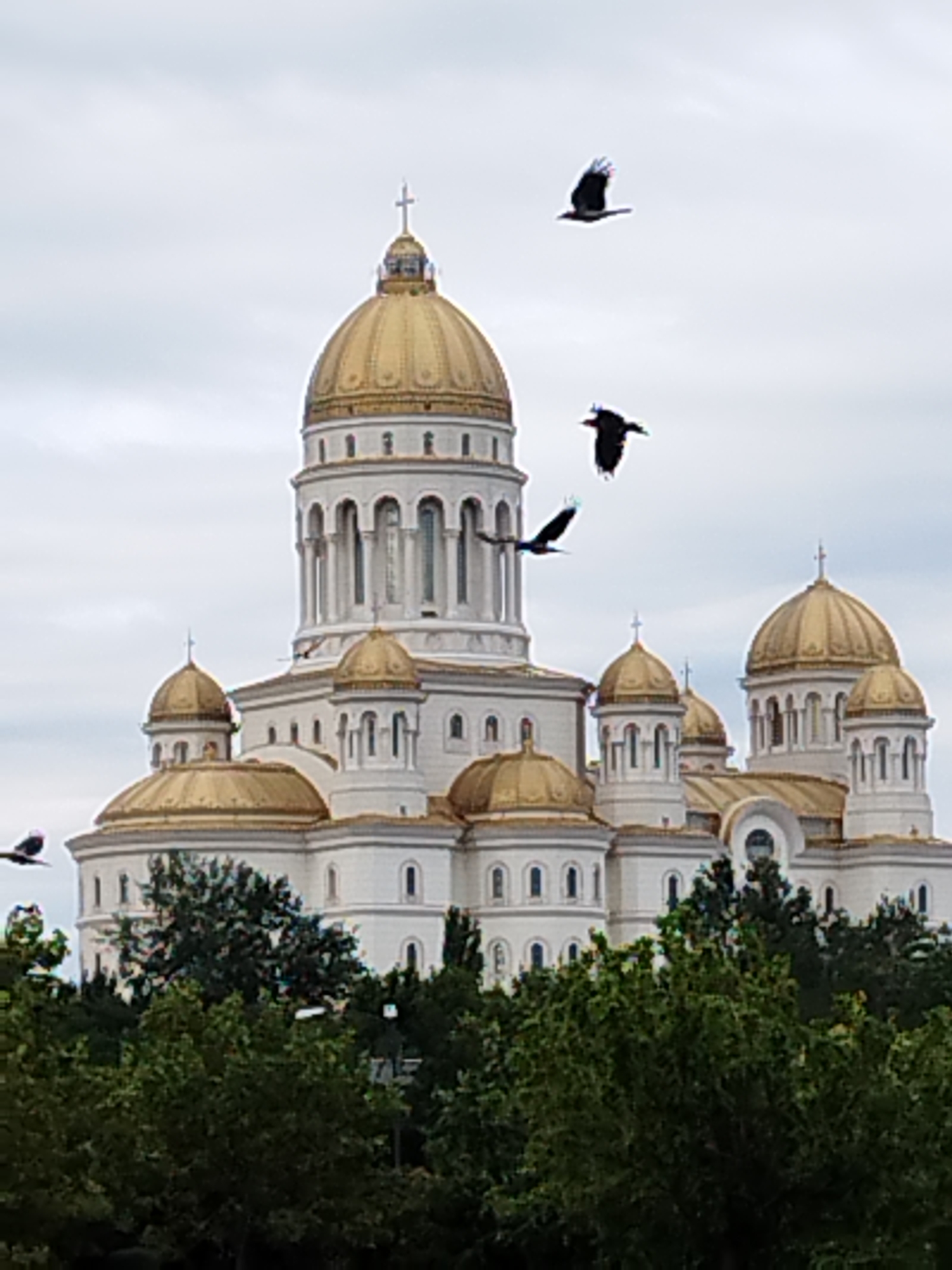 Bucharest landmarks: cathedral and stock exchange in frame