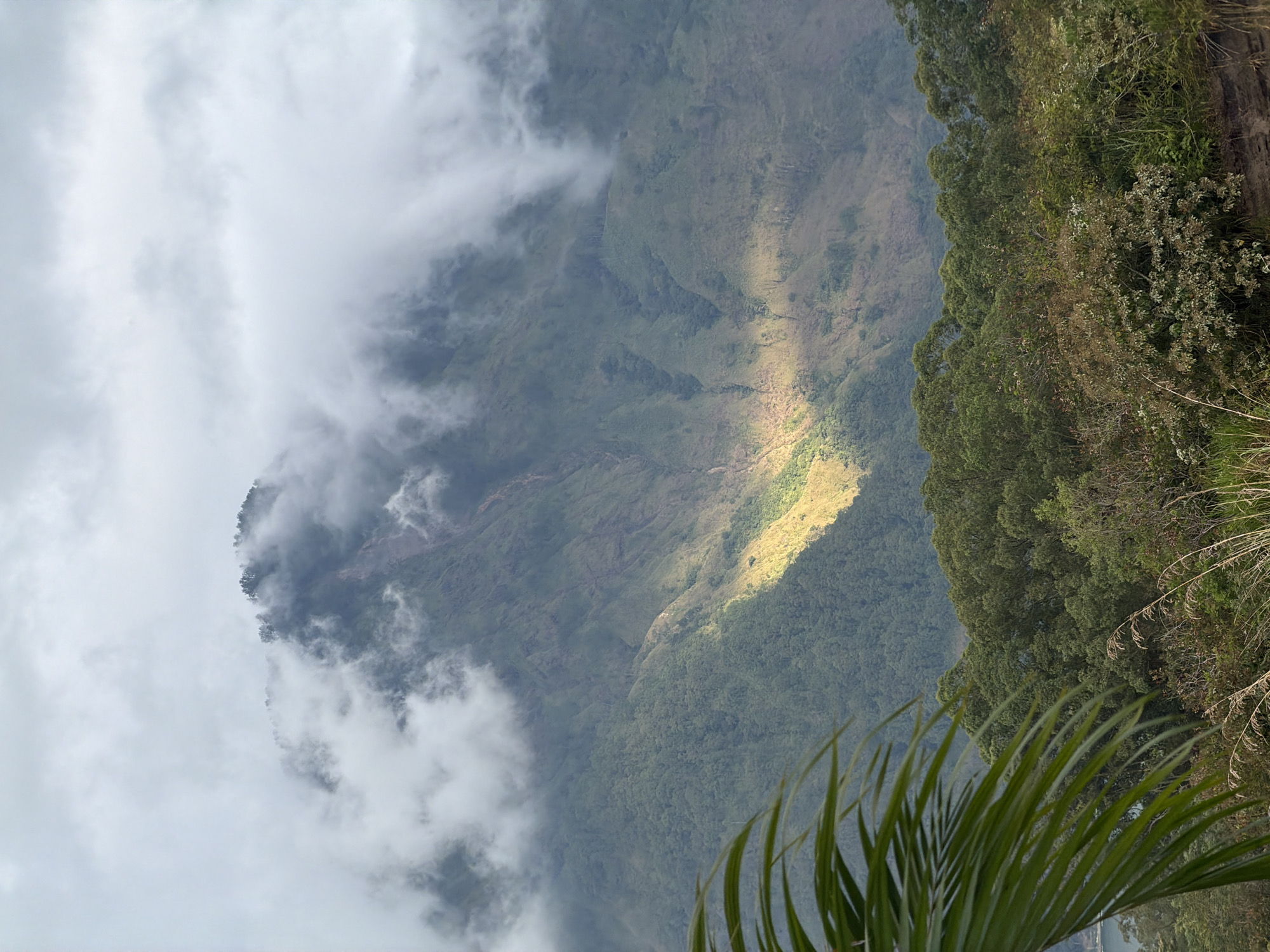 Morning in Kintamani: volcano views, village streets, and local life