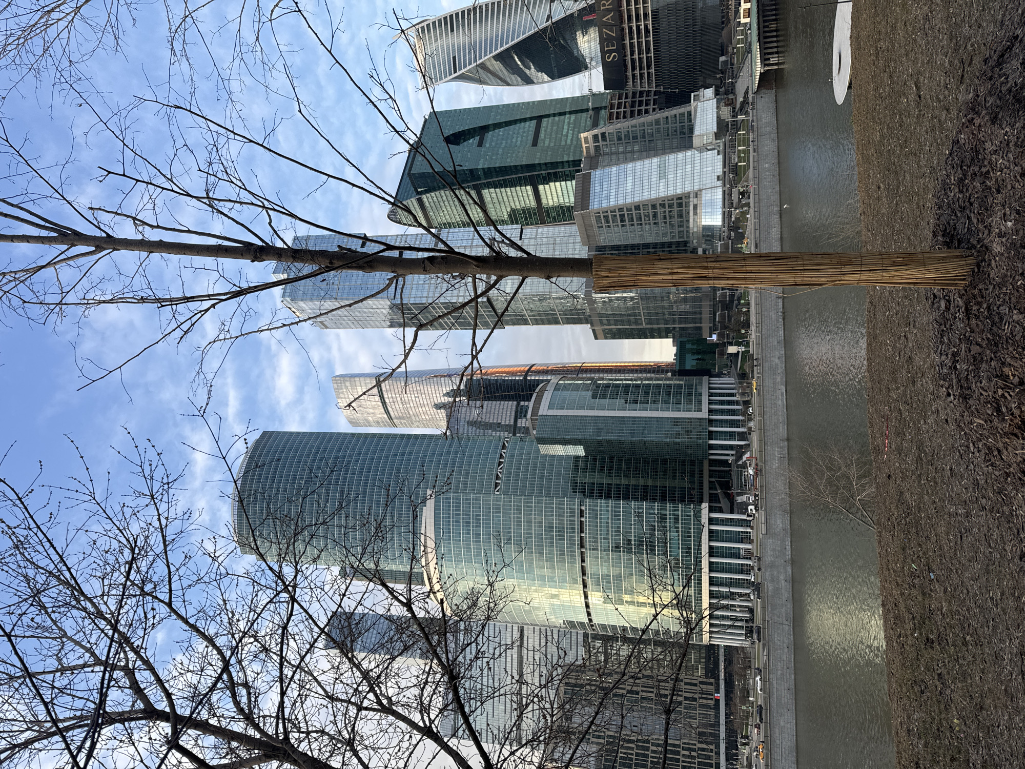 Moscow City business district photographed from riverbank vantage point