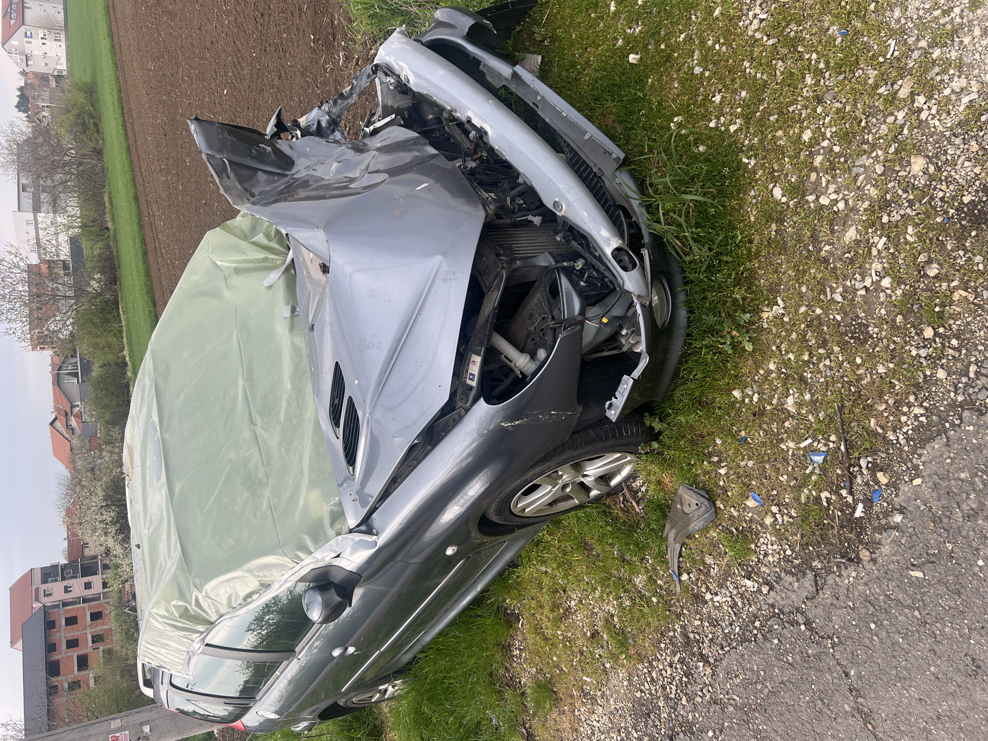 Dog walker witnesses vehicle accident aftermath in Belgrade